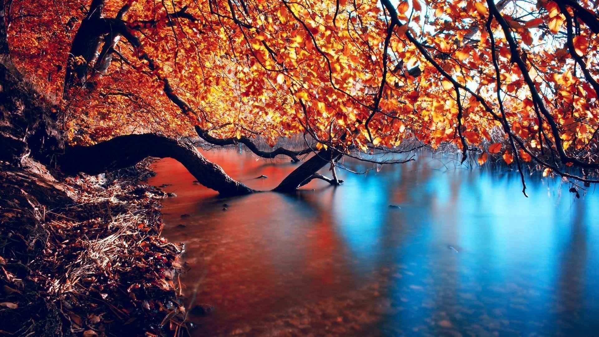 Autumn HD Wallpapers Wallpaper Cave