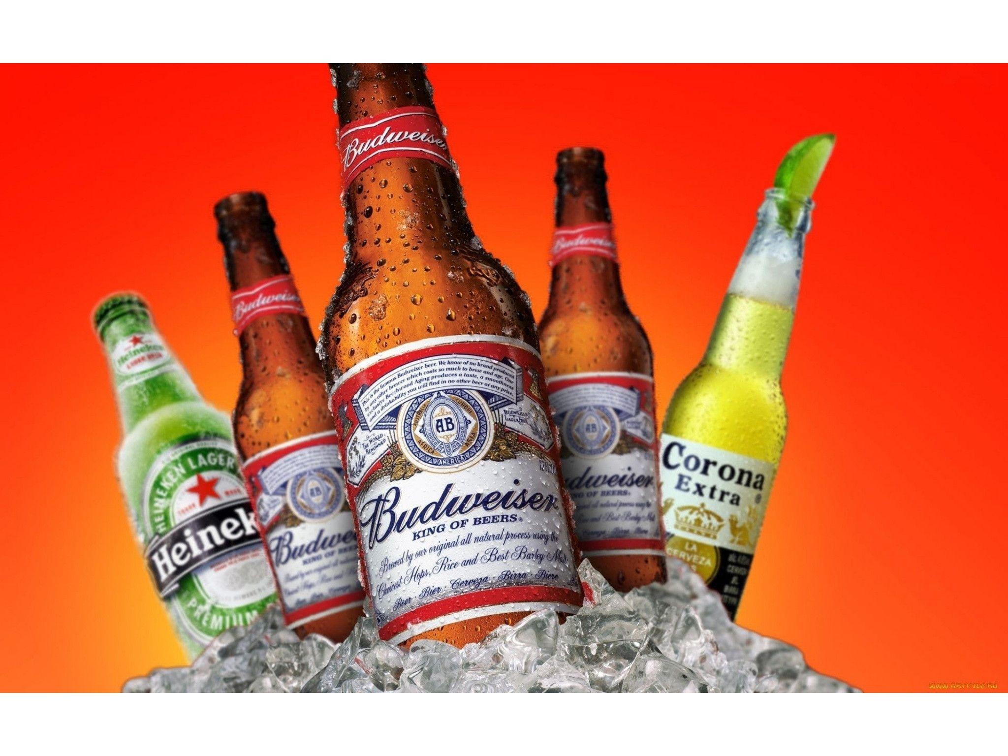 Budweiser Wallpapers Wallpaper Cave