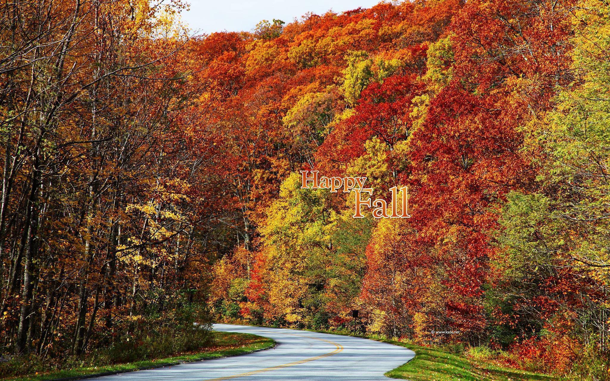 Fall Color Wallpapers Wallpaper Cave