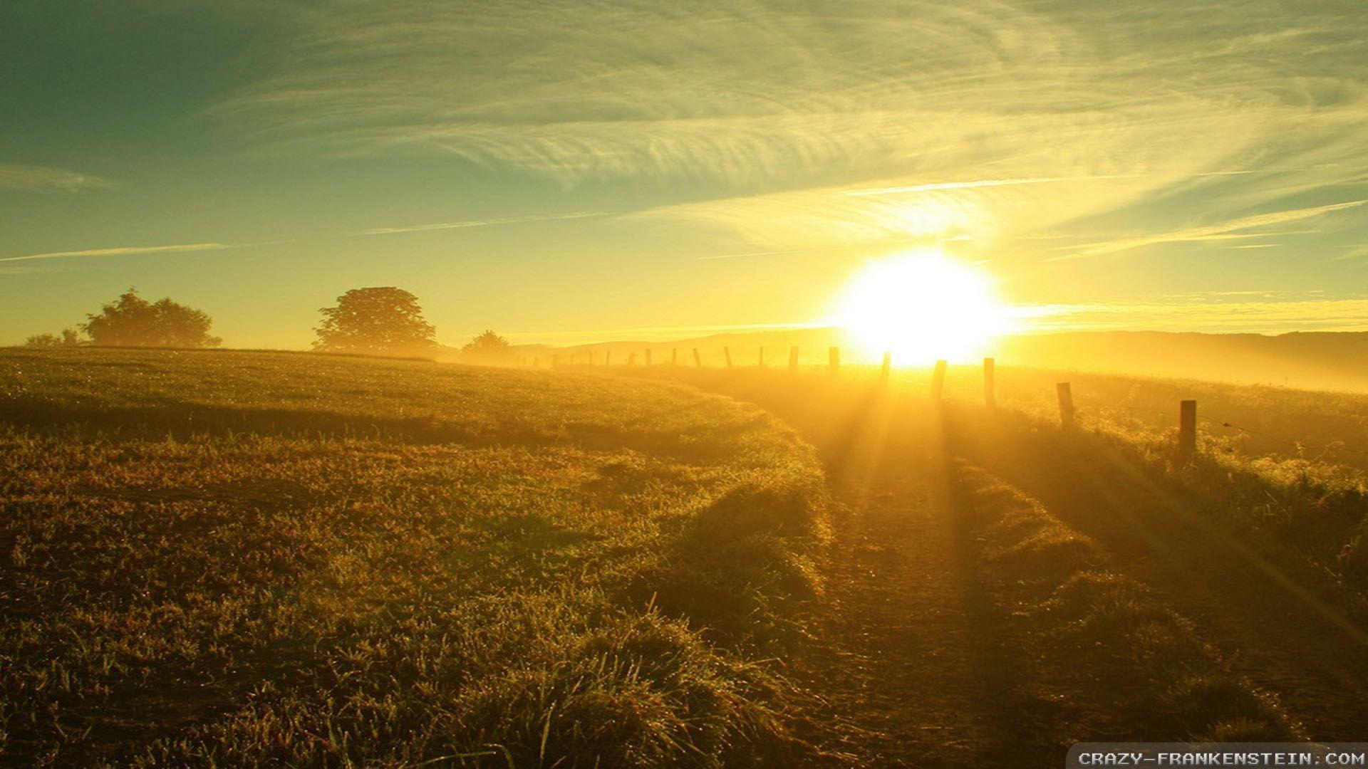 Sun Wallpapers Wallpaper Cave