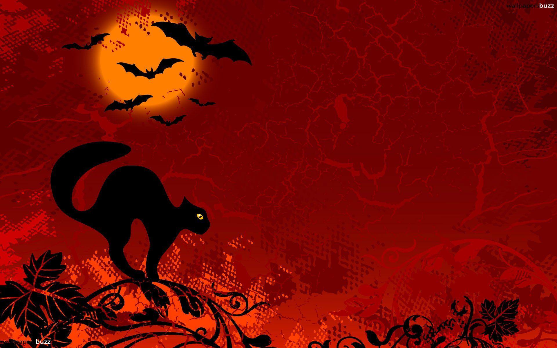 Halloween Cat Wallpapers Wallpaper Cave