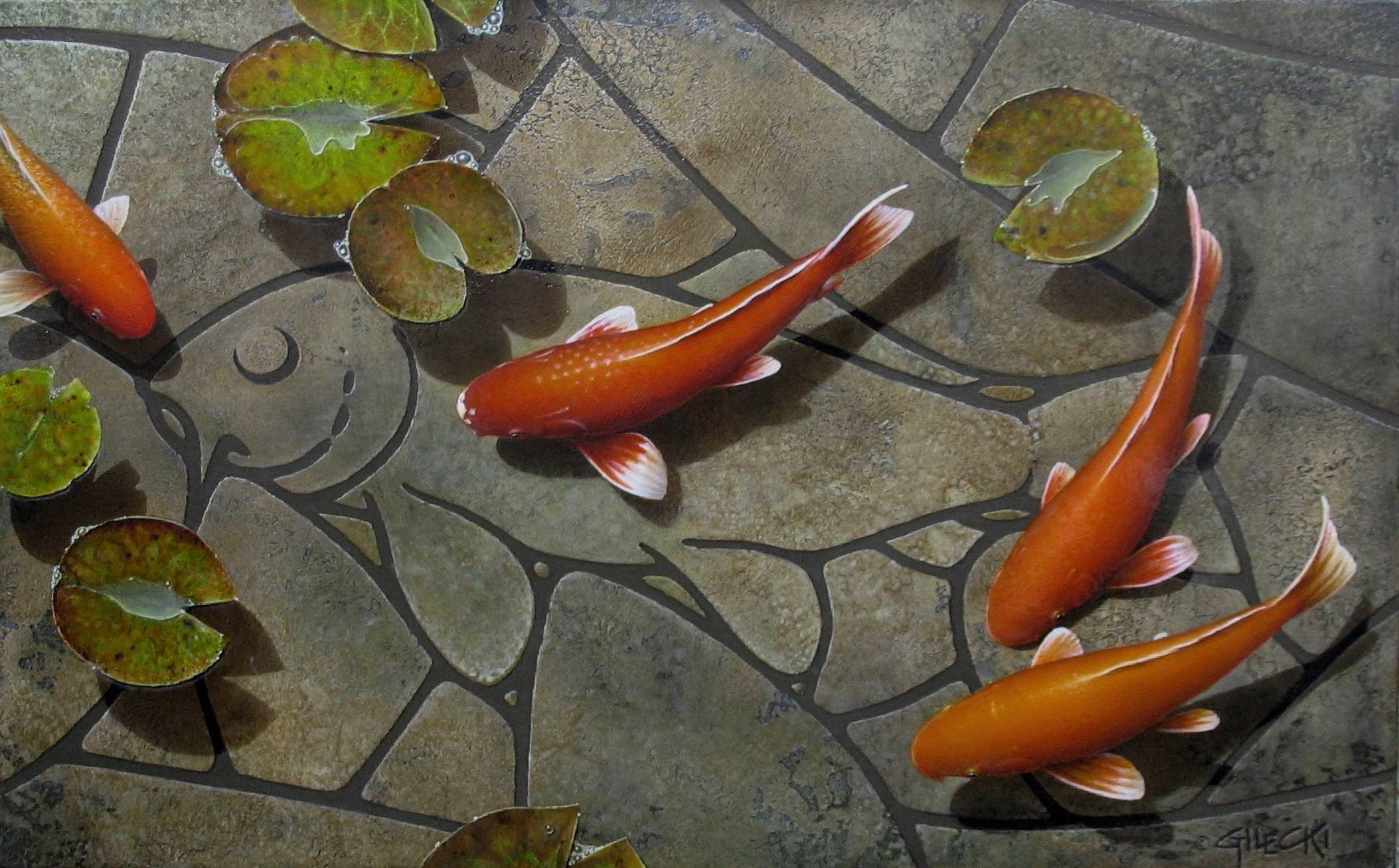 Koi Pond Wallpapers Wallpaper Cave
