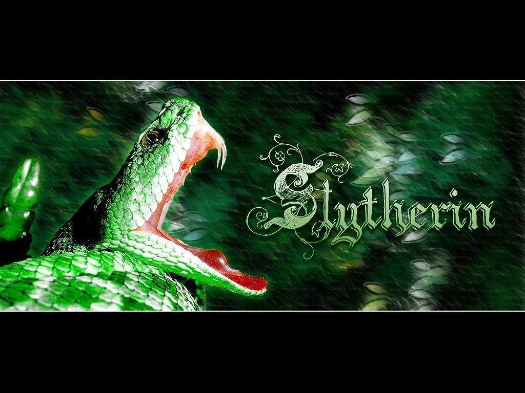 Slytherin Wallpapers Wallpaper Cave