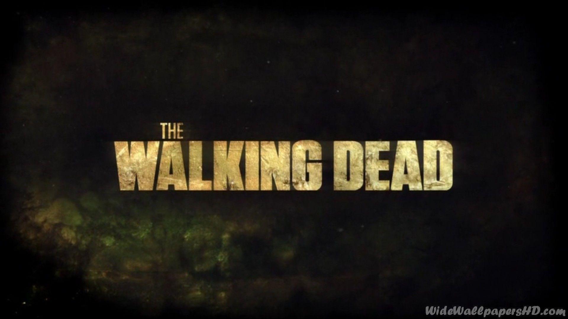The Walking Dead Wallpapers HD Wallpaper Cave