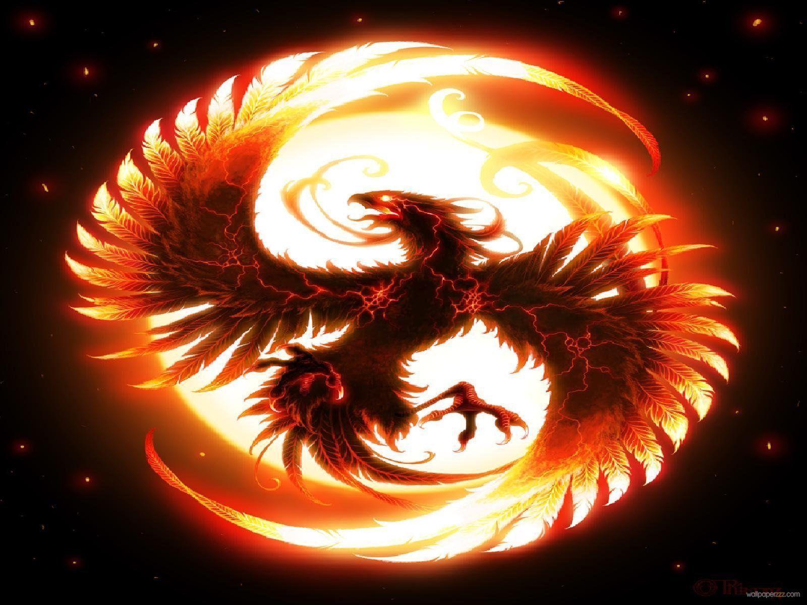 3D Dragon Wallpapers Wallpaper Cave