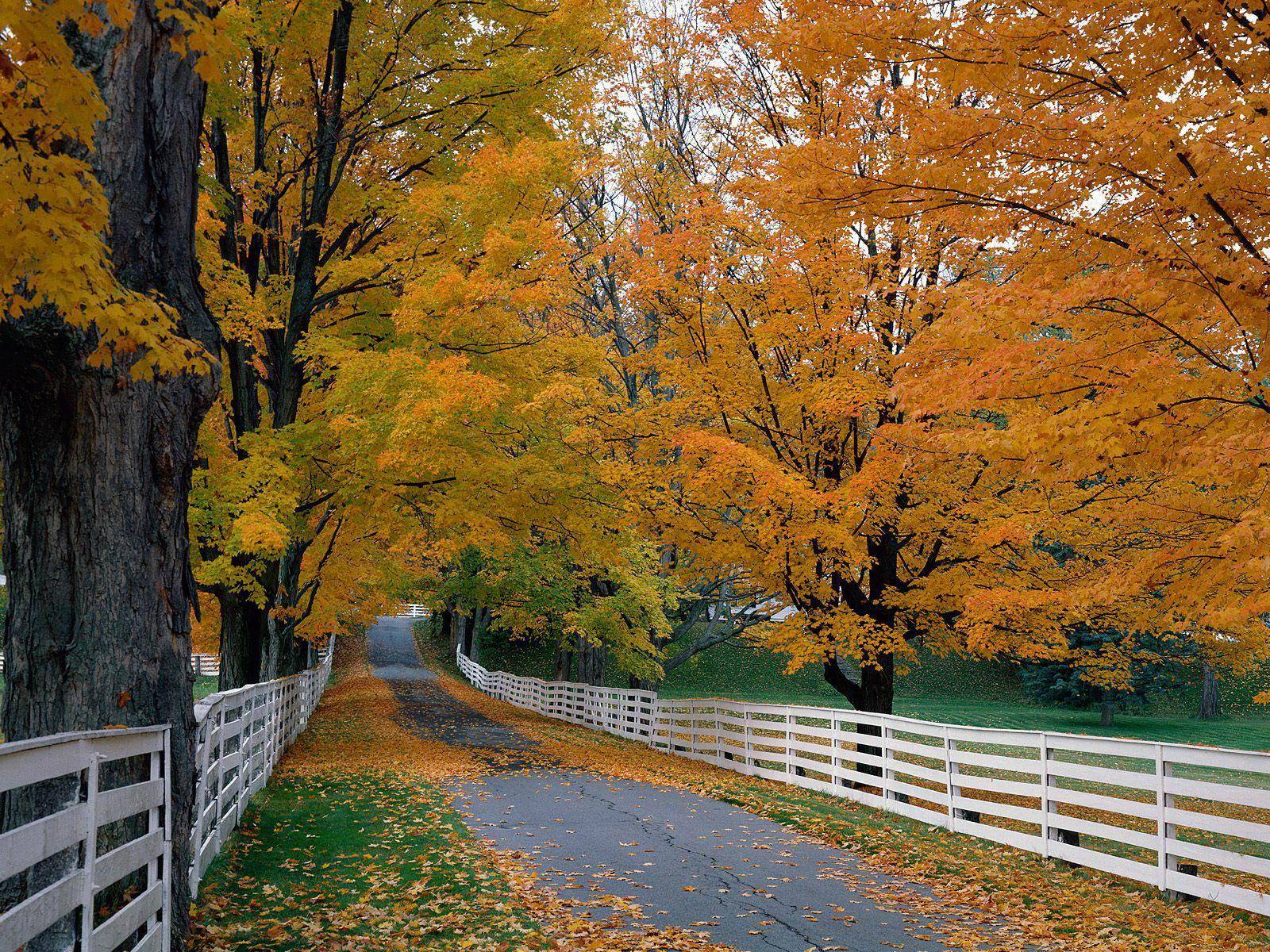 Free Scenic Wallpapers For Desktop Wallpaper Cave