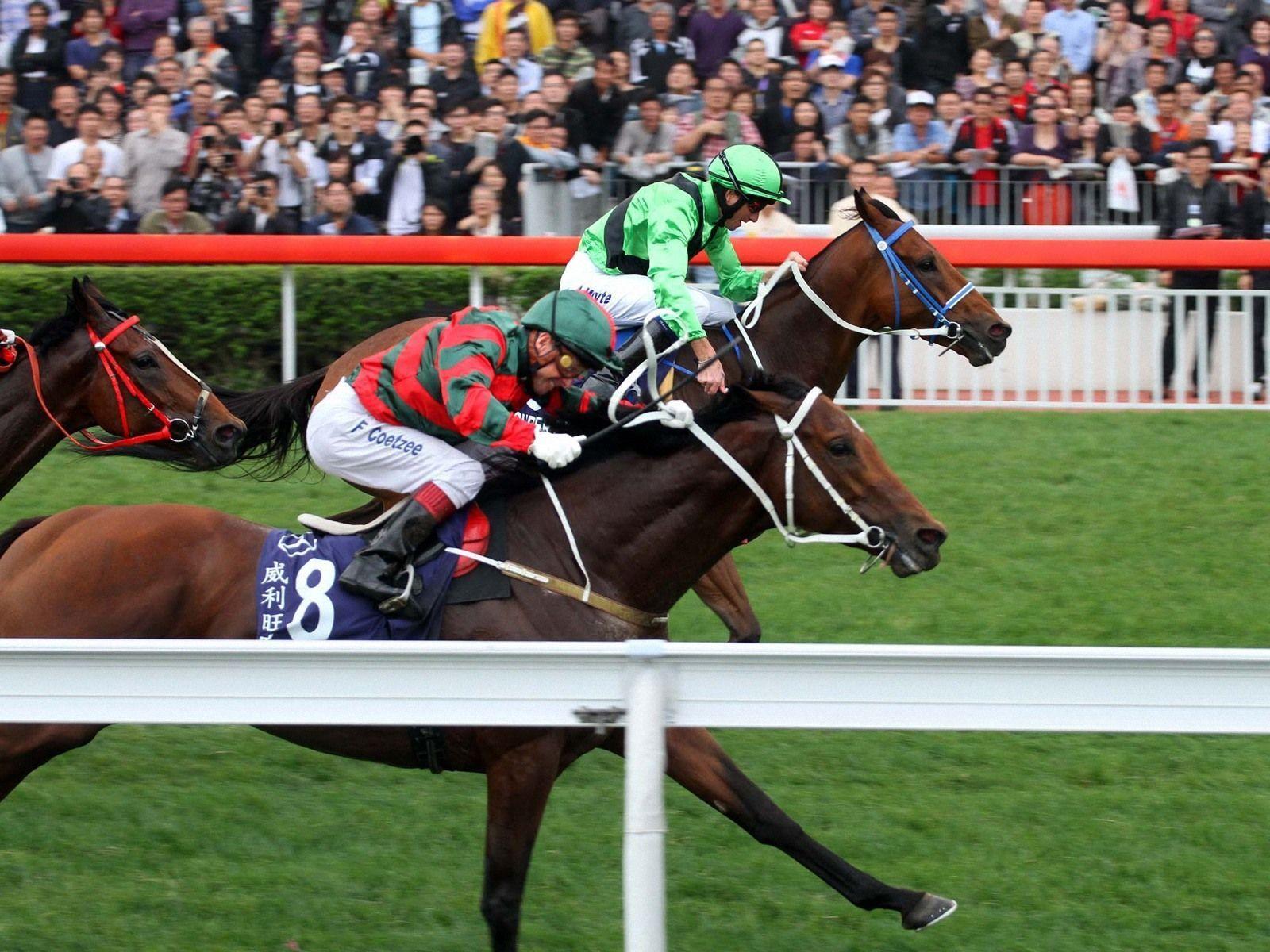 Horse Racing Wallpapers Wallpaper Cave