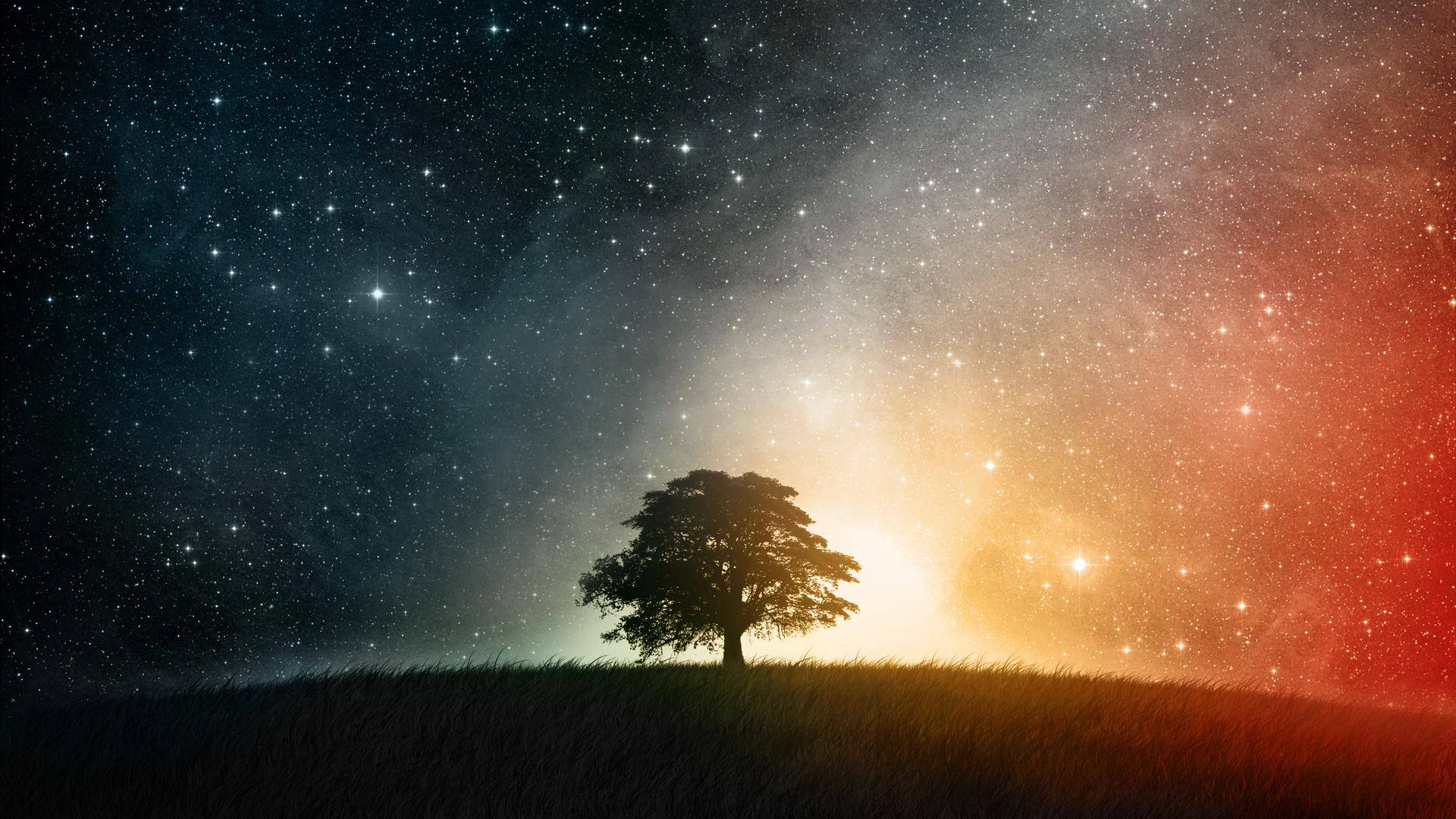 Night Sky Stars Wallpapers Wallpaper Cave