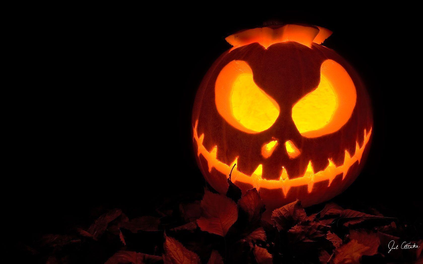 Jack O Lantern Wallpapers Wallpaper Cave