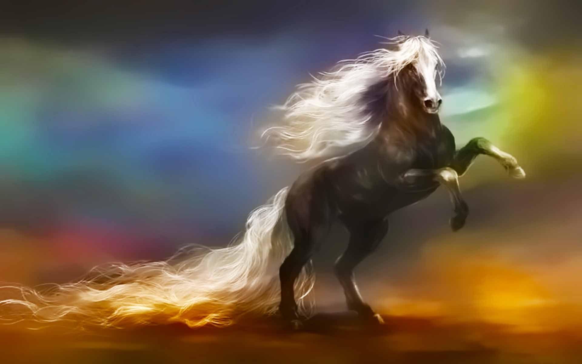 Fantasy Horse Wallpapers Wallpaper Cave