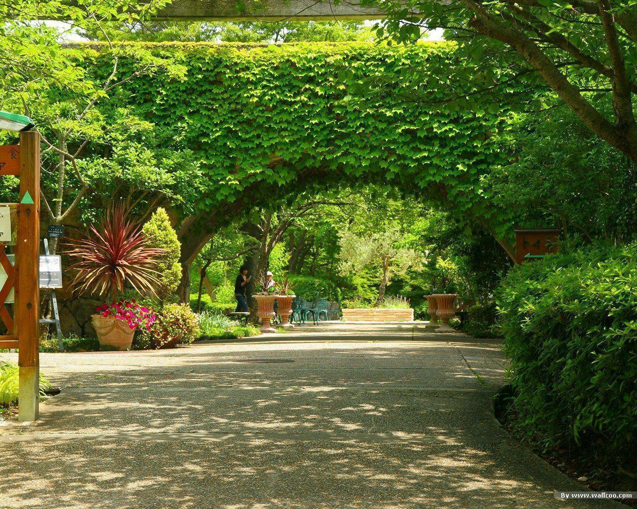 Beautiful Garden Wallpapers Wallpaper Cave