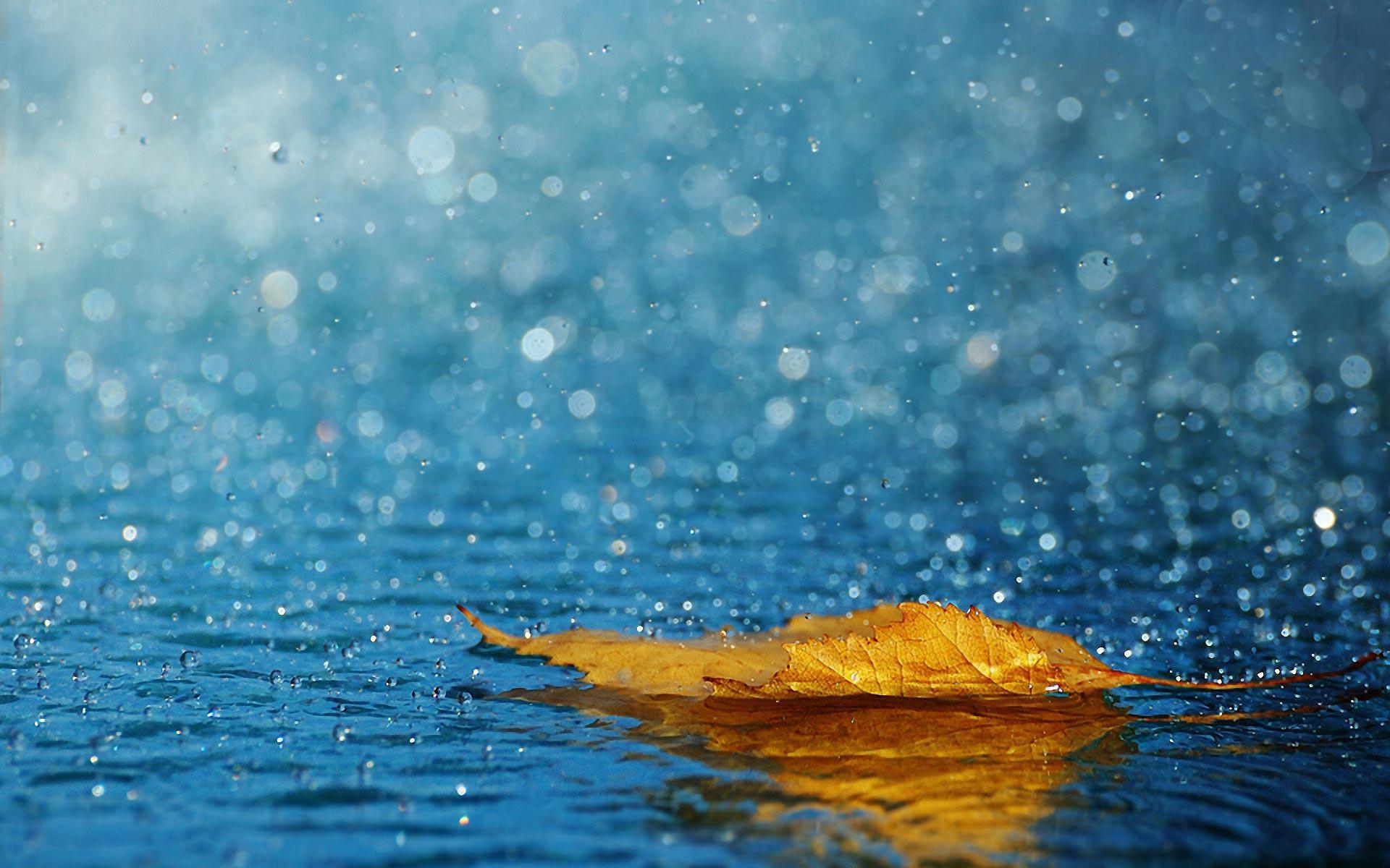 Nature Rain Wallpapers Wallpaper Cave