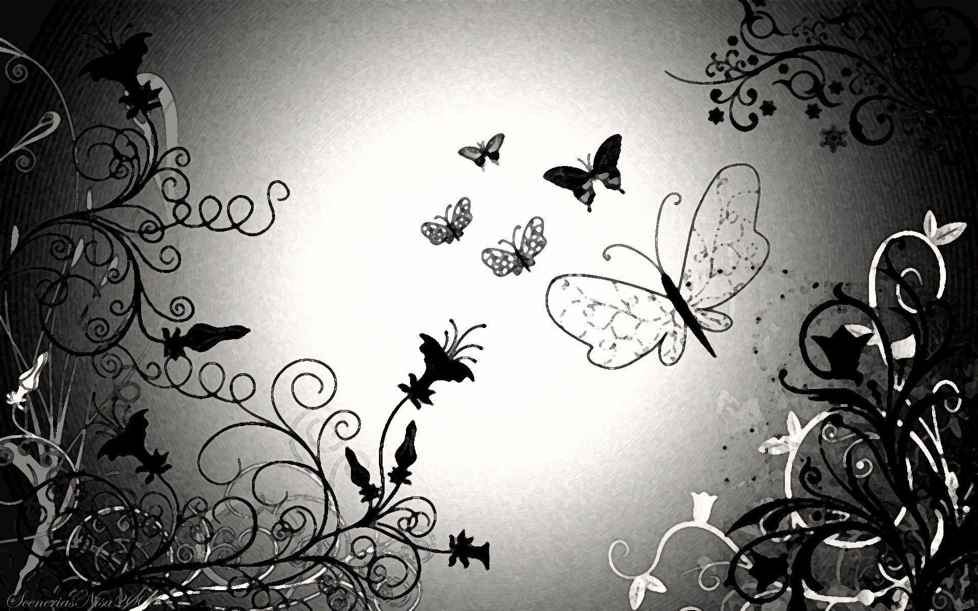 Black Butterfly Wallpapers Wallpaper Cave