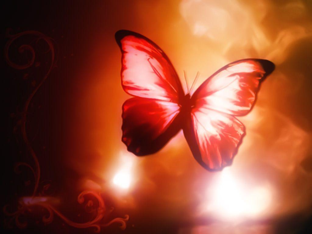 Red Butterfly Wallpapers Wallpaper Cave