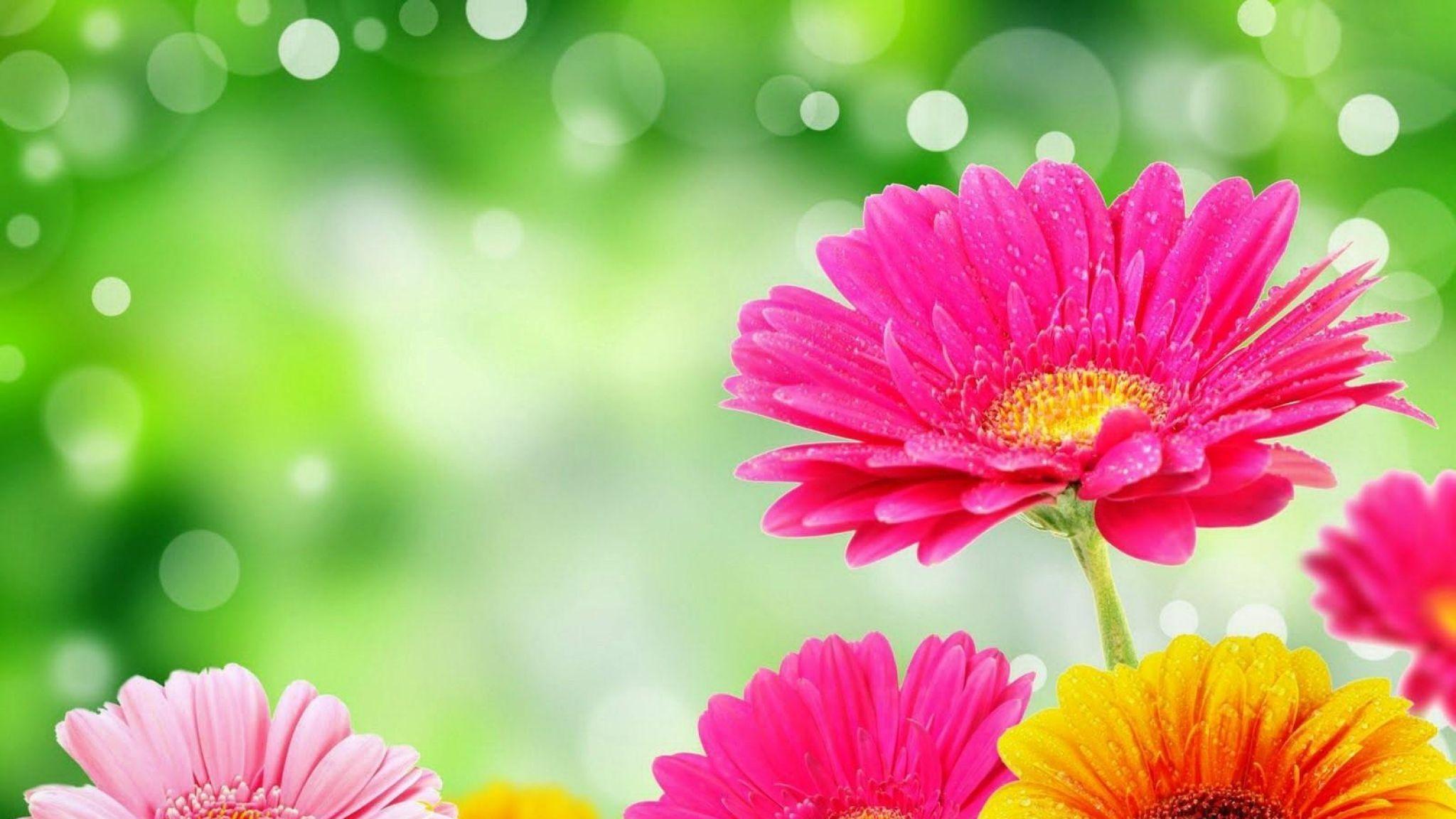 Bright Colorful Backgrounds Wallpaper Cave