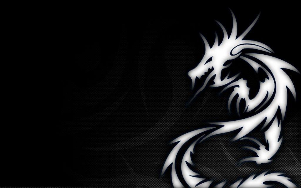 Dragon Logo Wallpapers Wallpaper Cave