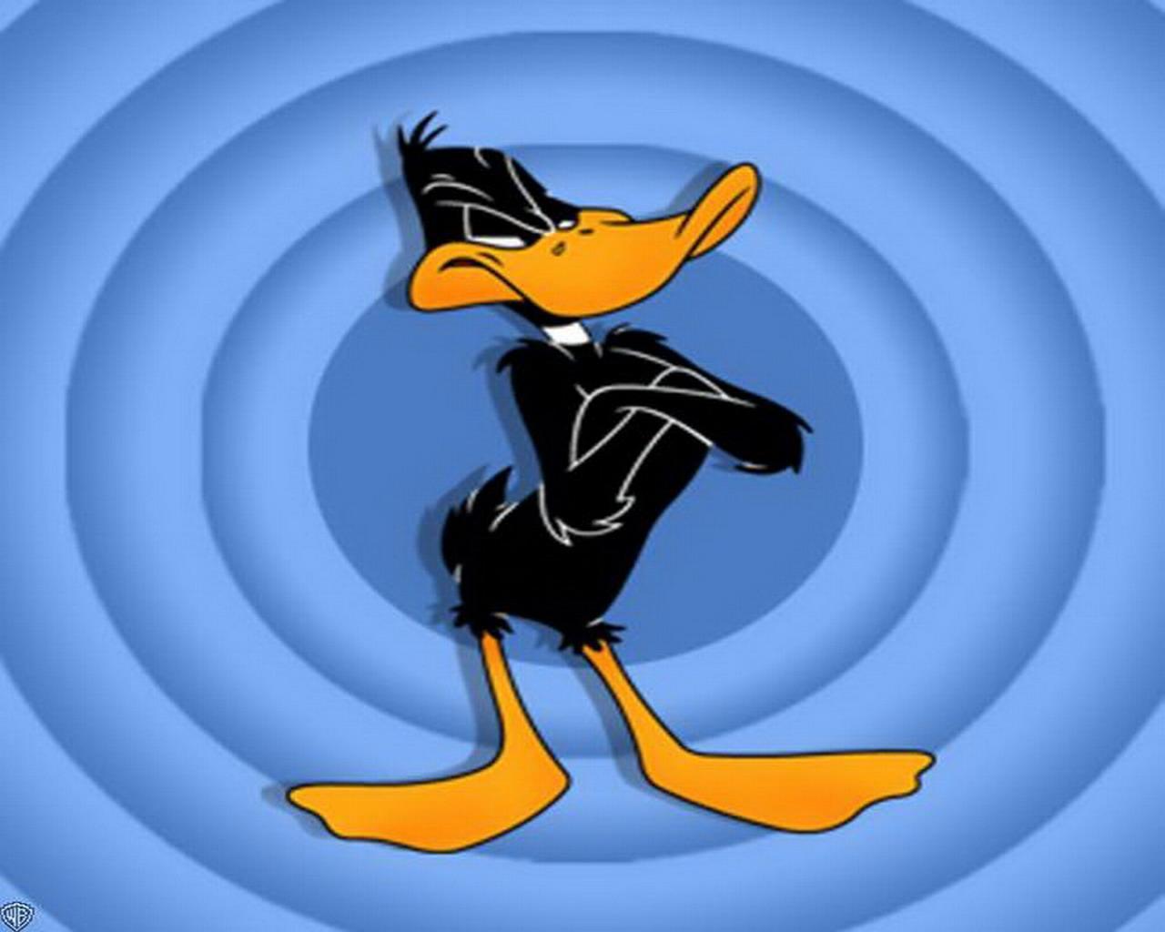 Daffy Duck Wallpapers Wallpaper Cave
