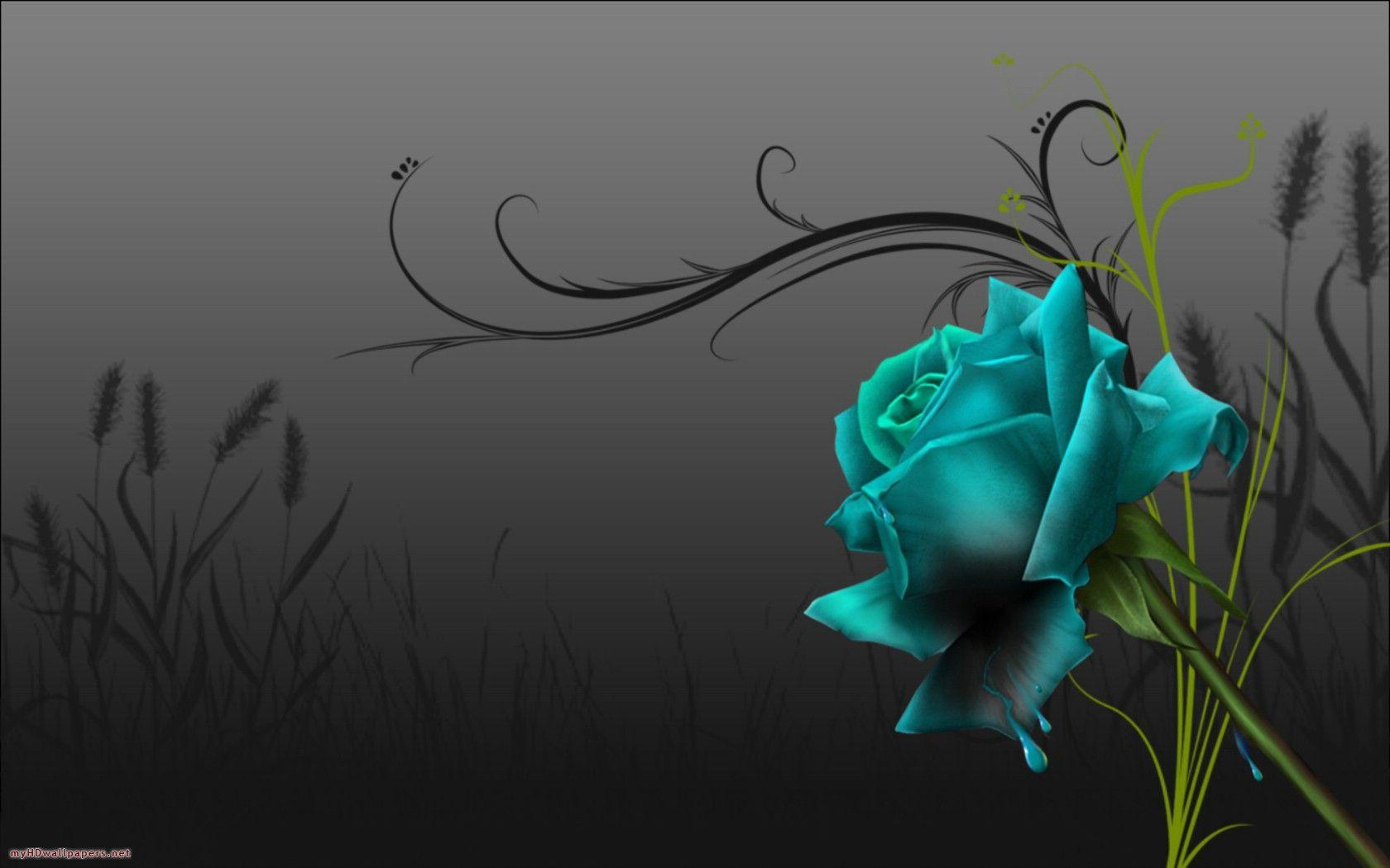Wallpapers Black Rose Wallpaper Cave