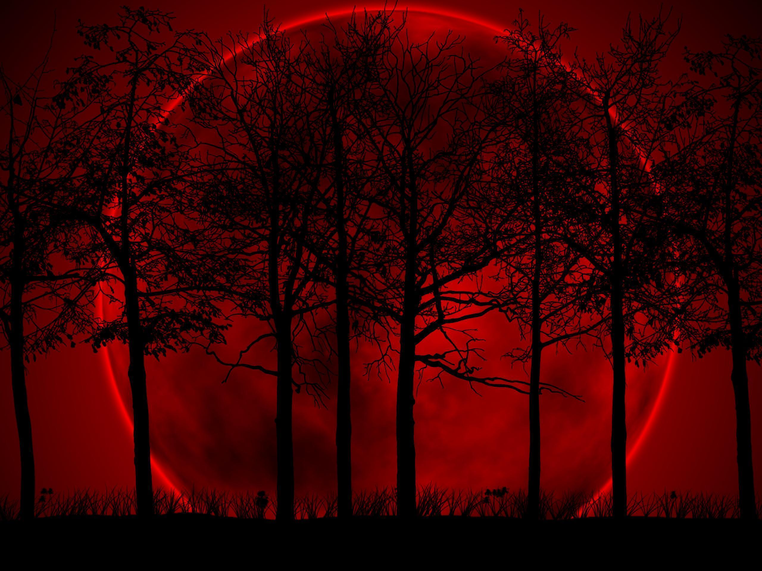 Red Nature Wallpapers Wallpaper Cave