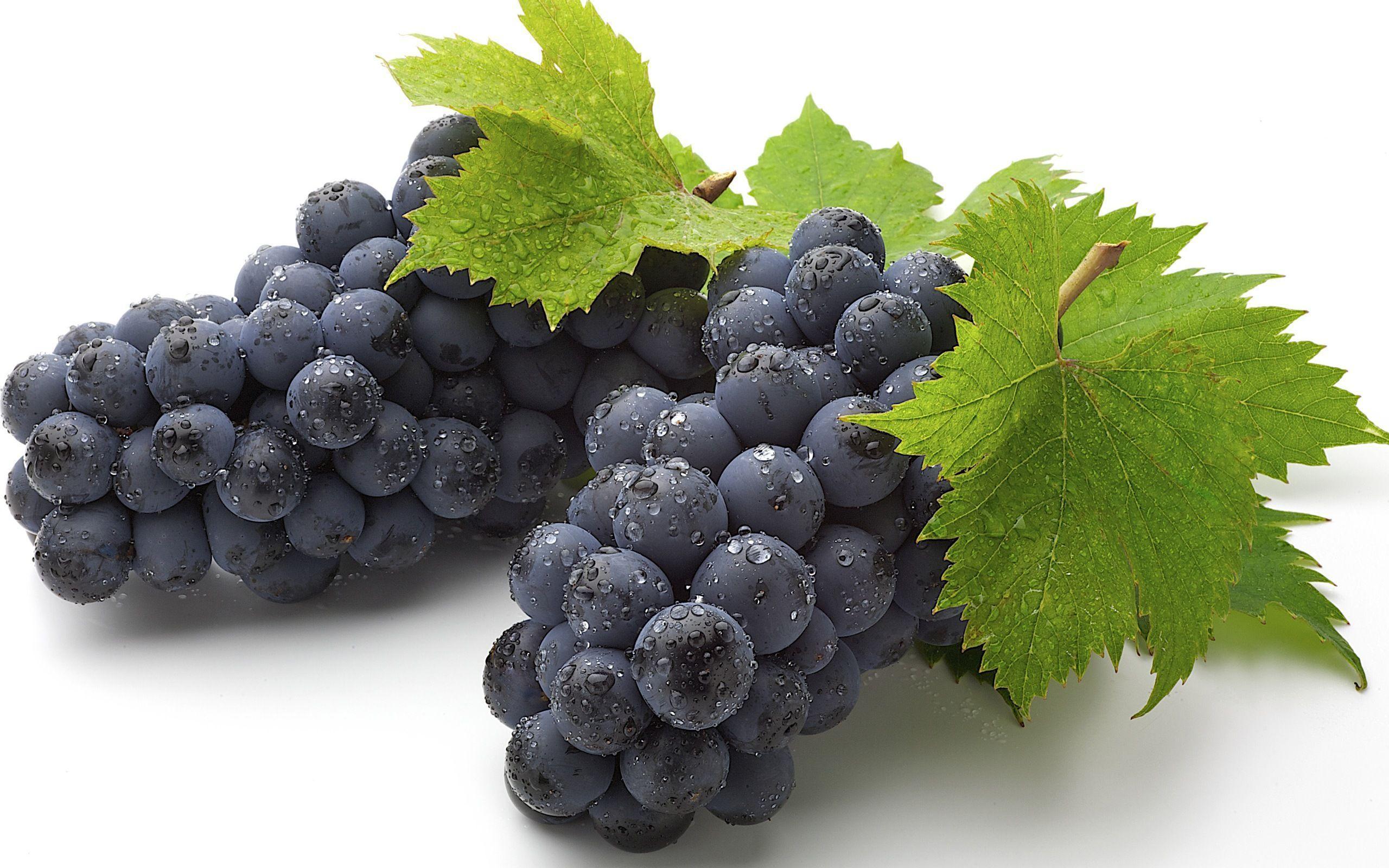 Black Grapes Wallpaper