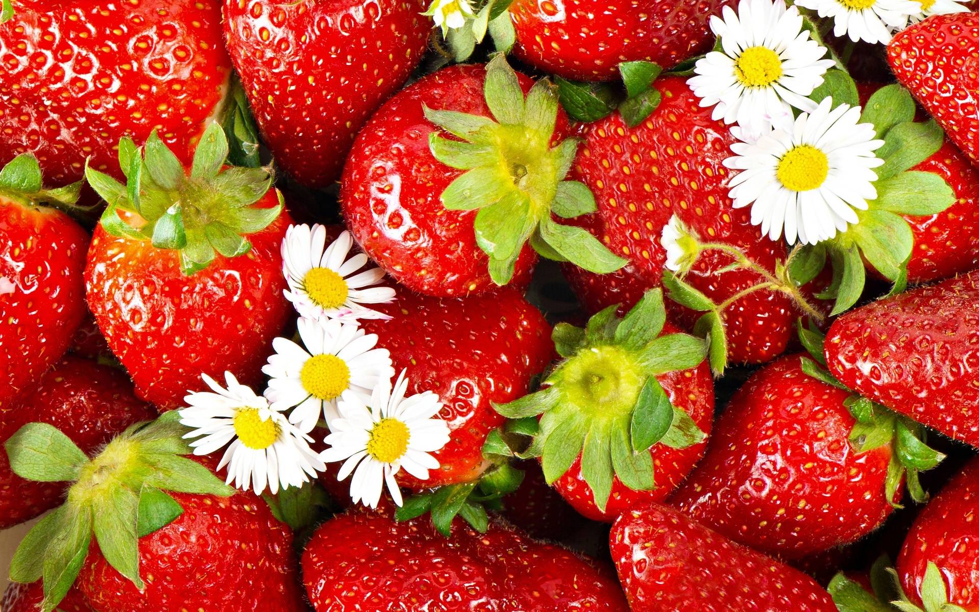 Strawberry Wallpapers Wallpaper Cave