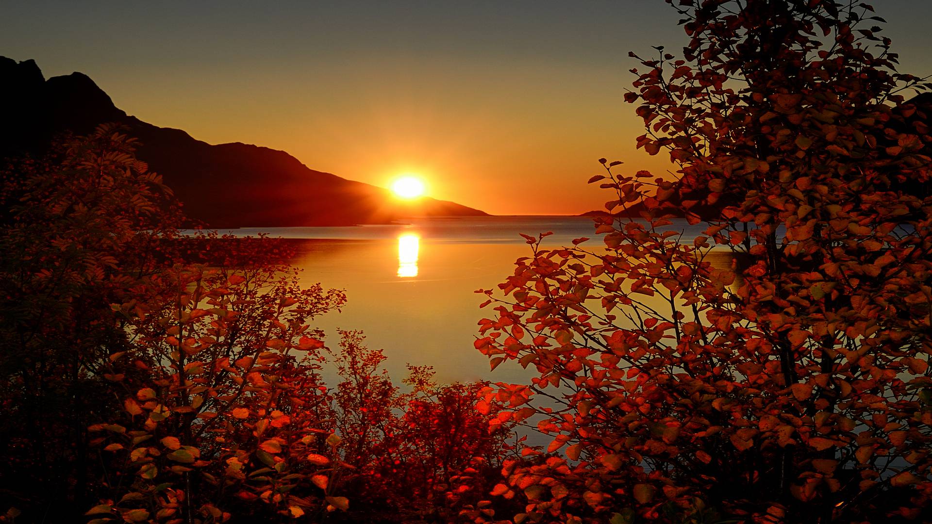 Sunrise Wallpapers For Desktop Wallpaper Cave