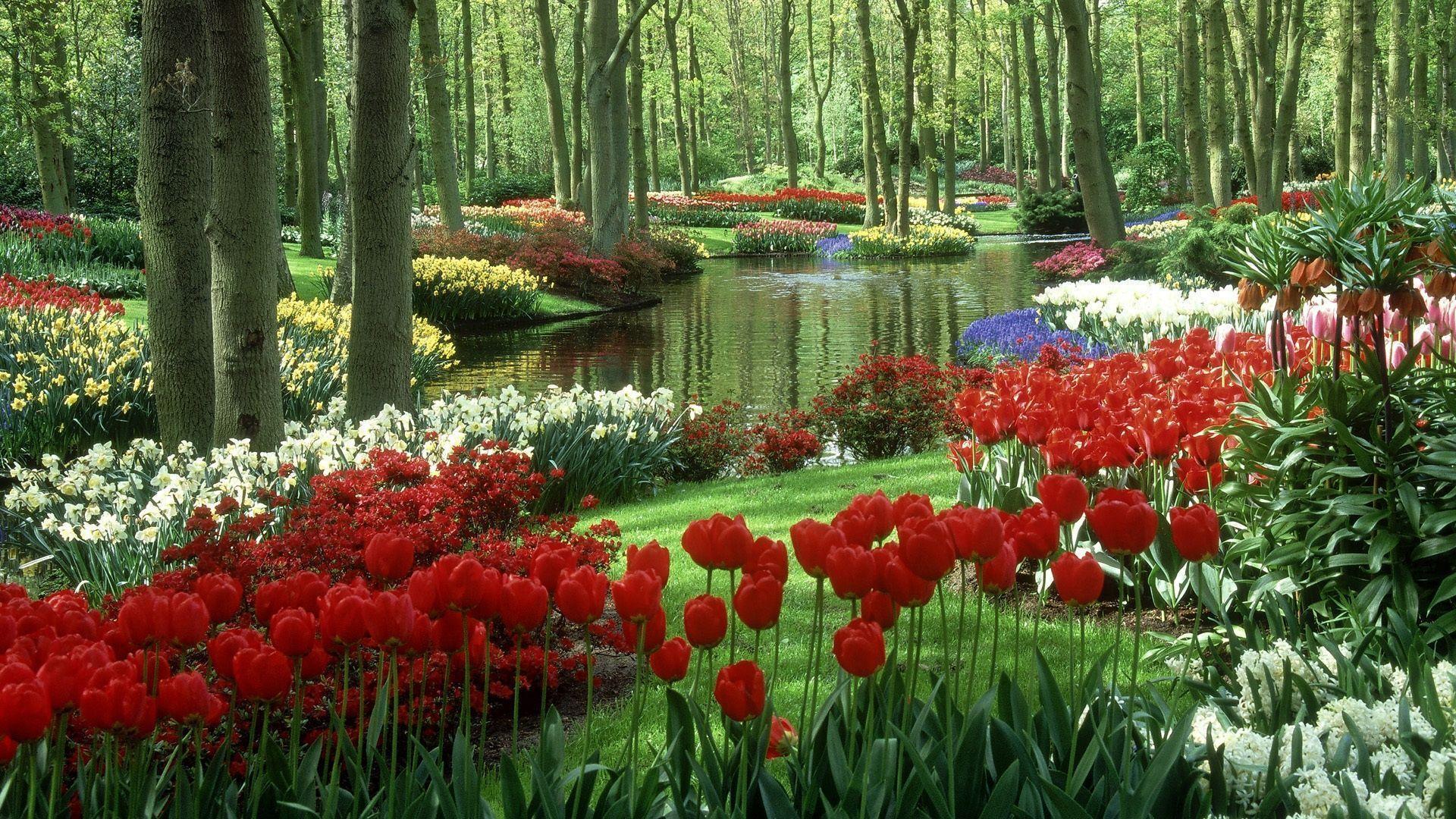 Flower Garden Backgrounds - Wallpaper Cave