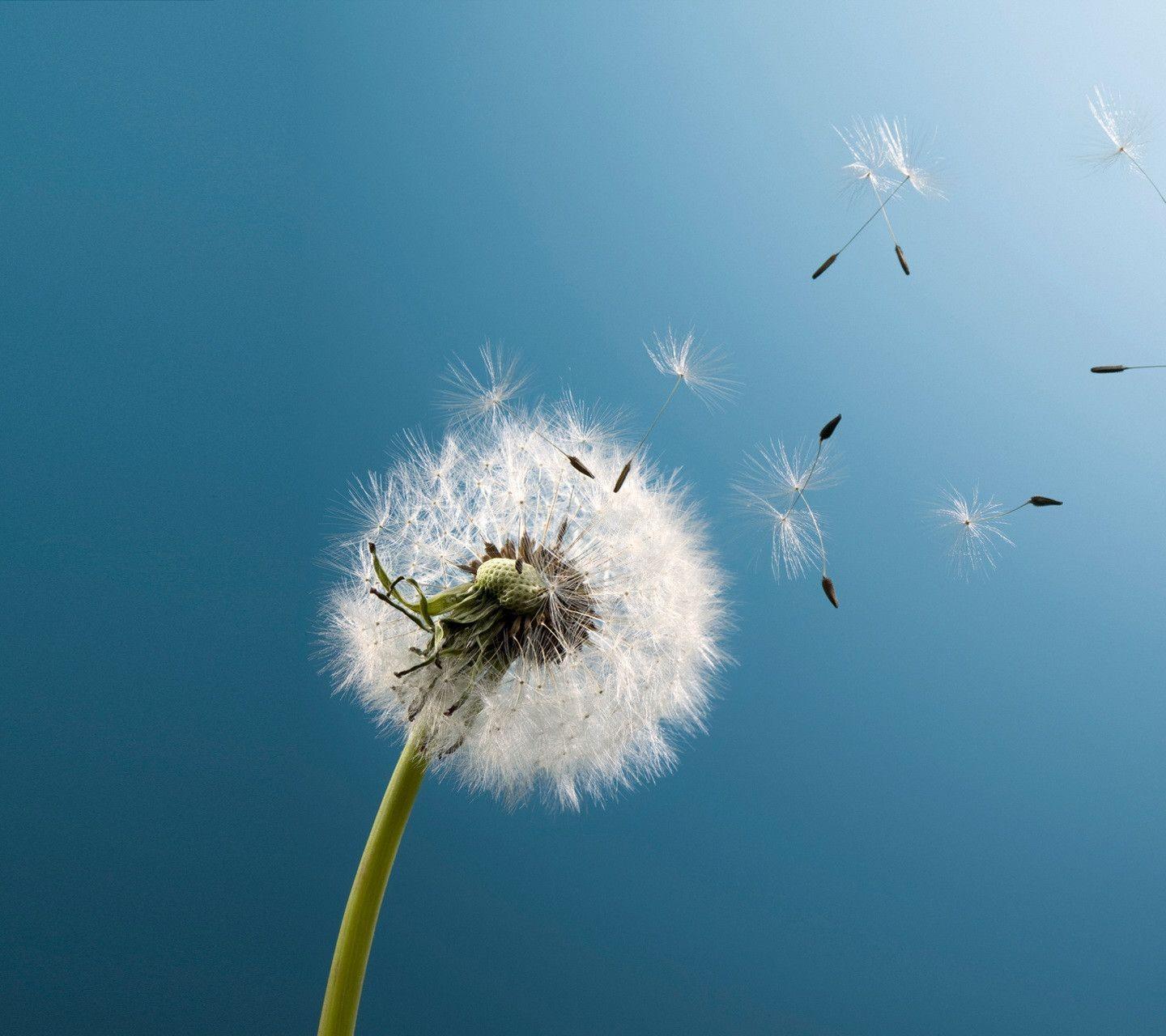 100+ EPIC Best Wallpapers For Samsung S3 wallpaper quotes