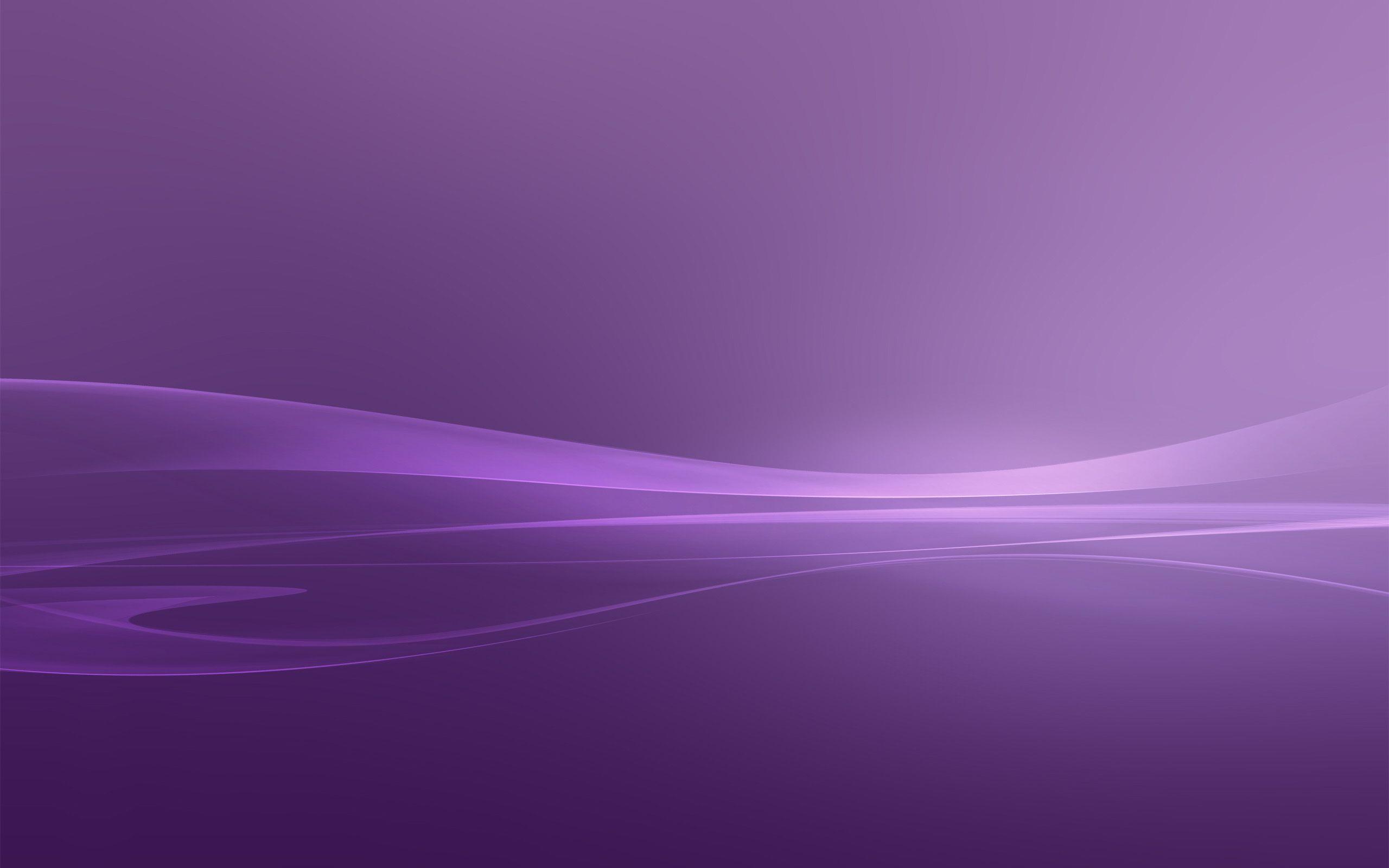 Lavender Color Wallpaper, HD Solid Color Wallpaper (81+ images) Tons