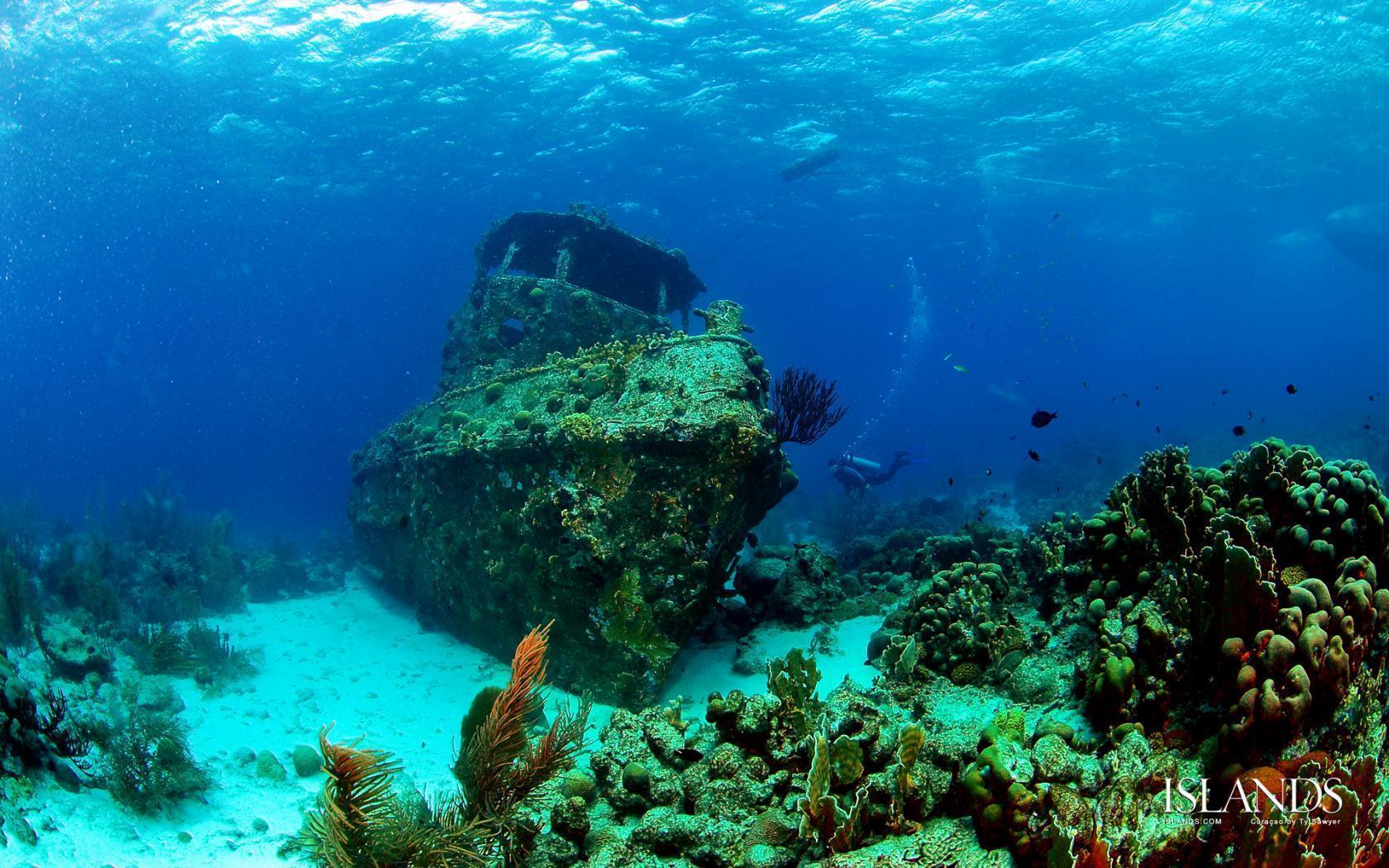 Free Scuba Diving Wallpapers Wallpaper Cave