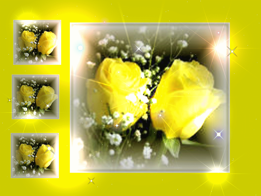 Yellow Roses Backgrounds Wallpaper Cave