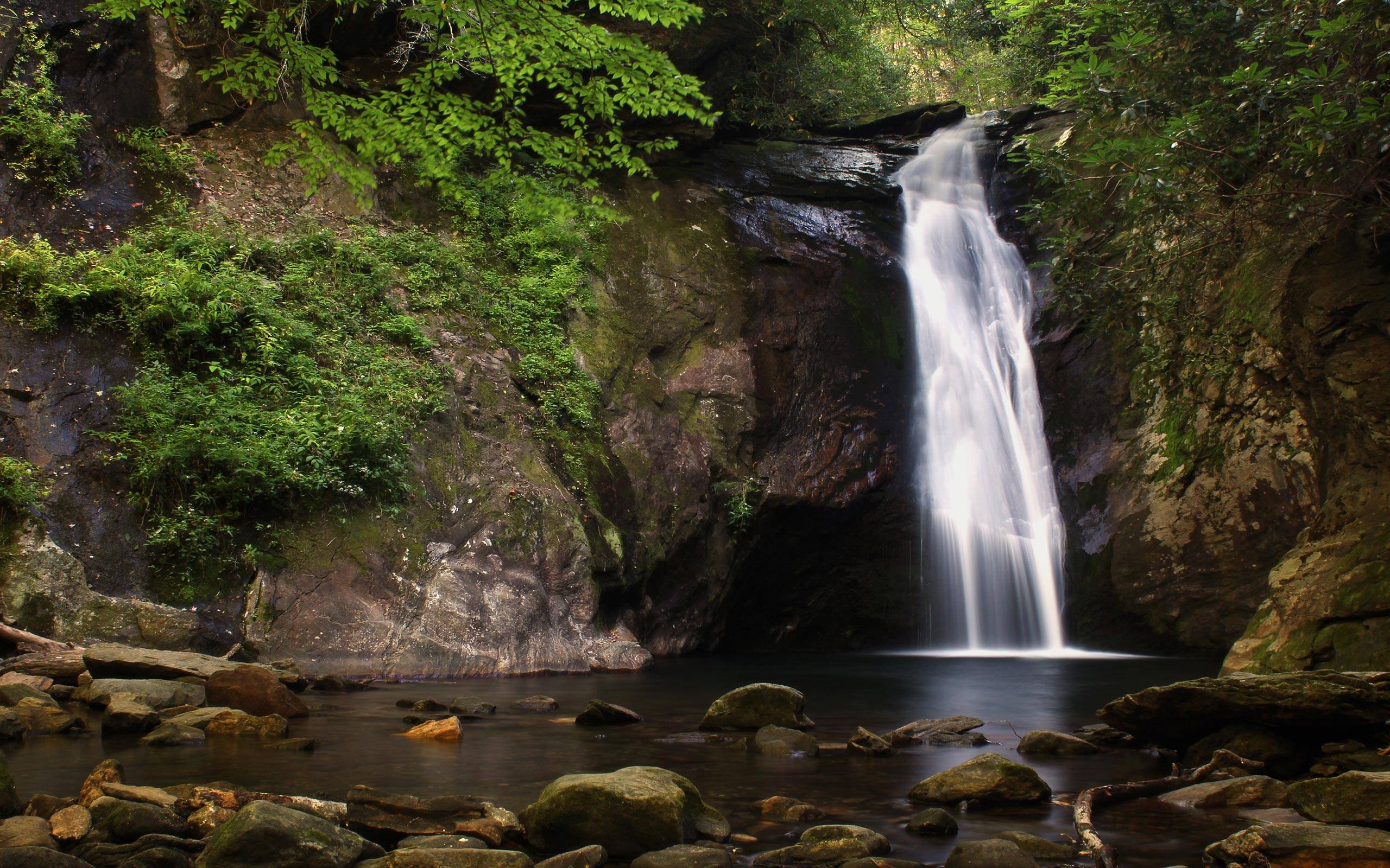 Forest Waterfall Wallpapers Wallpaper Cave