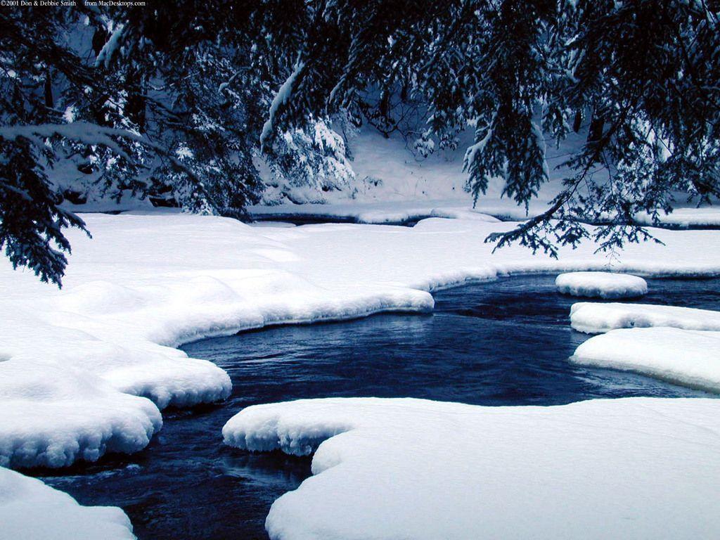Winter Wonderland Wallpapers Wallpaper Cave