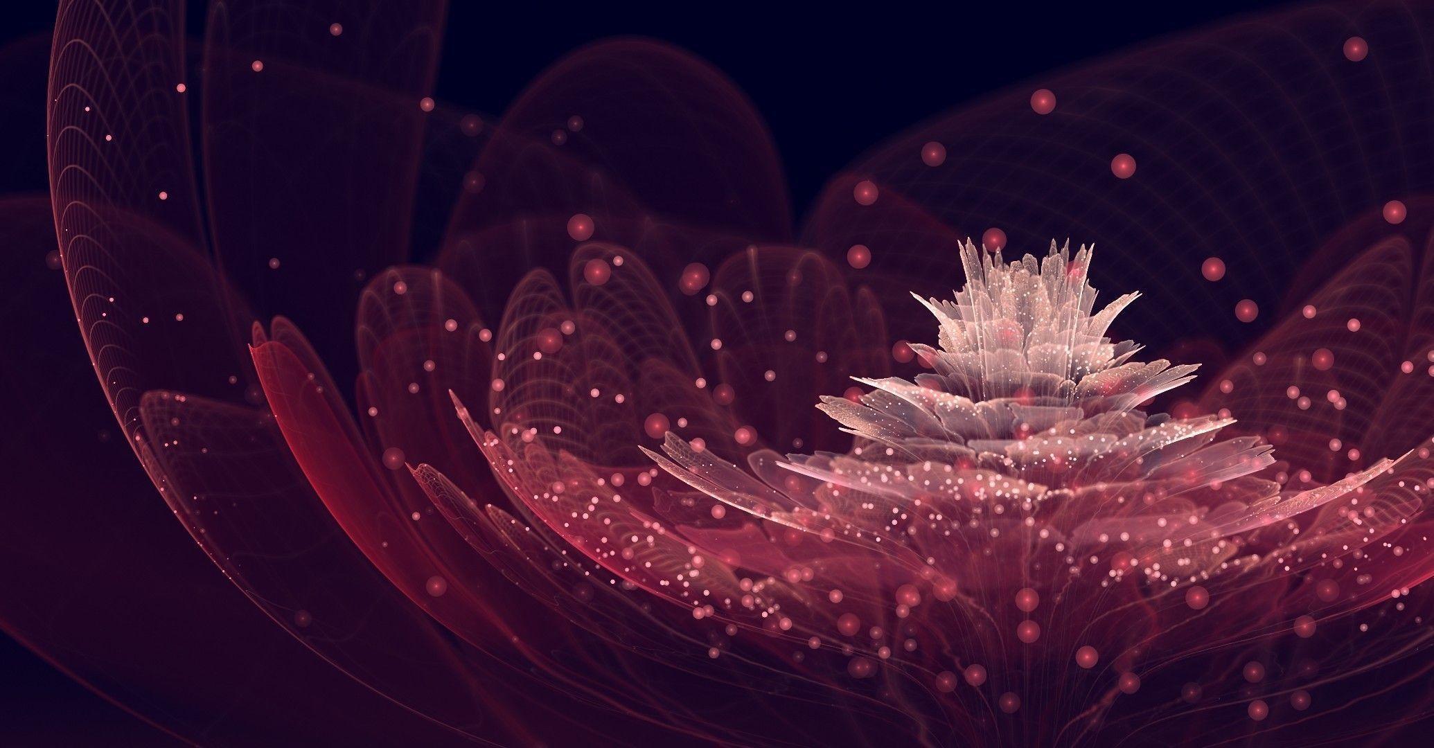 Pink And Black Backgrounds For Desktop Wallpaper Cave