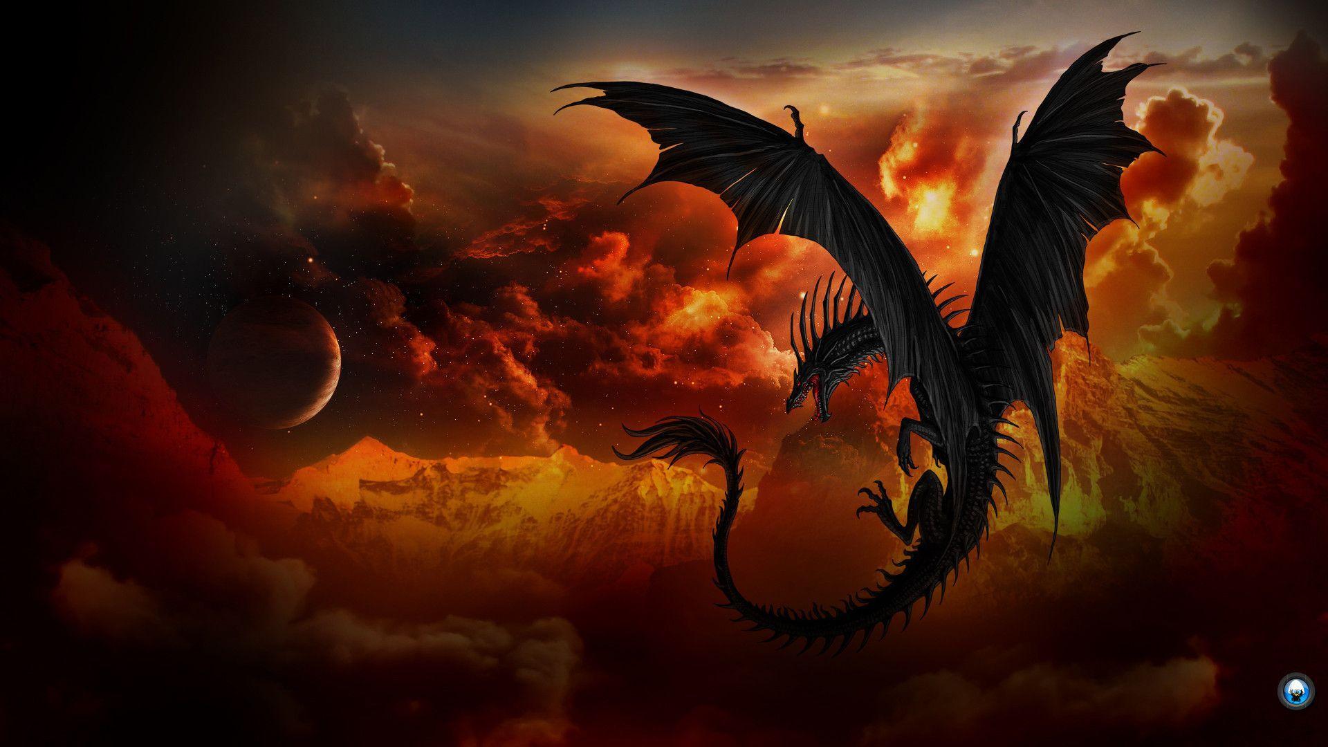 Dragon Wallpapers HD Wallpaper Cave