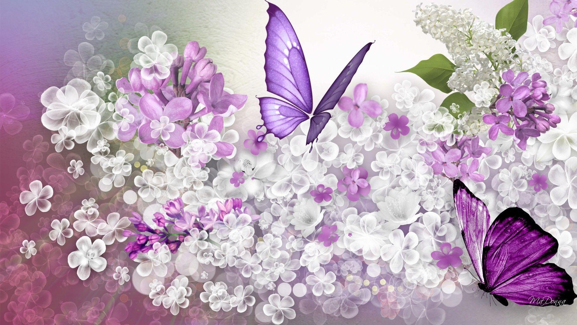 Lilac Wallpapers Wallpaper Cave