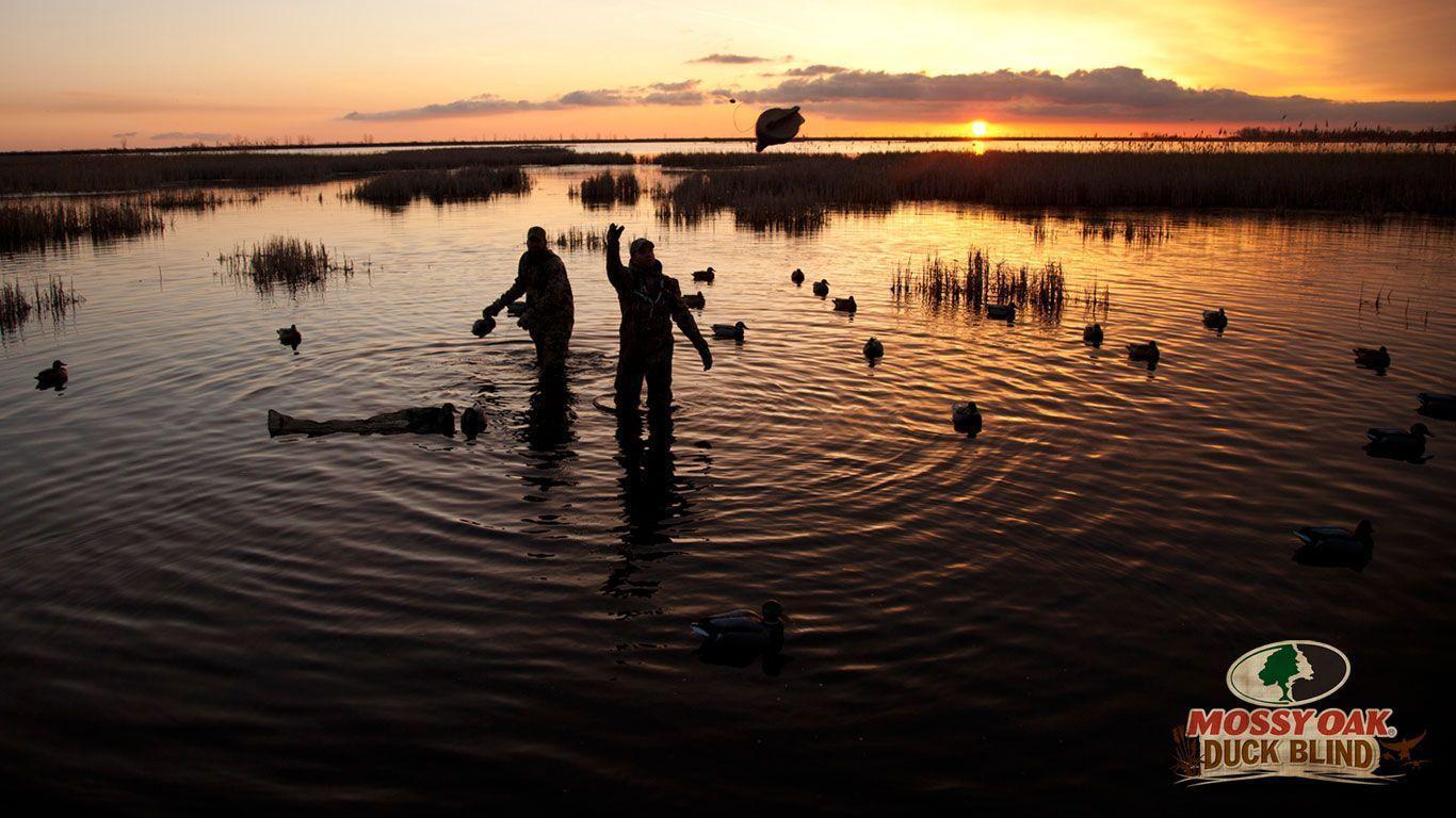 Duck Hunting Backgrounds Wallpaper Cave