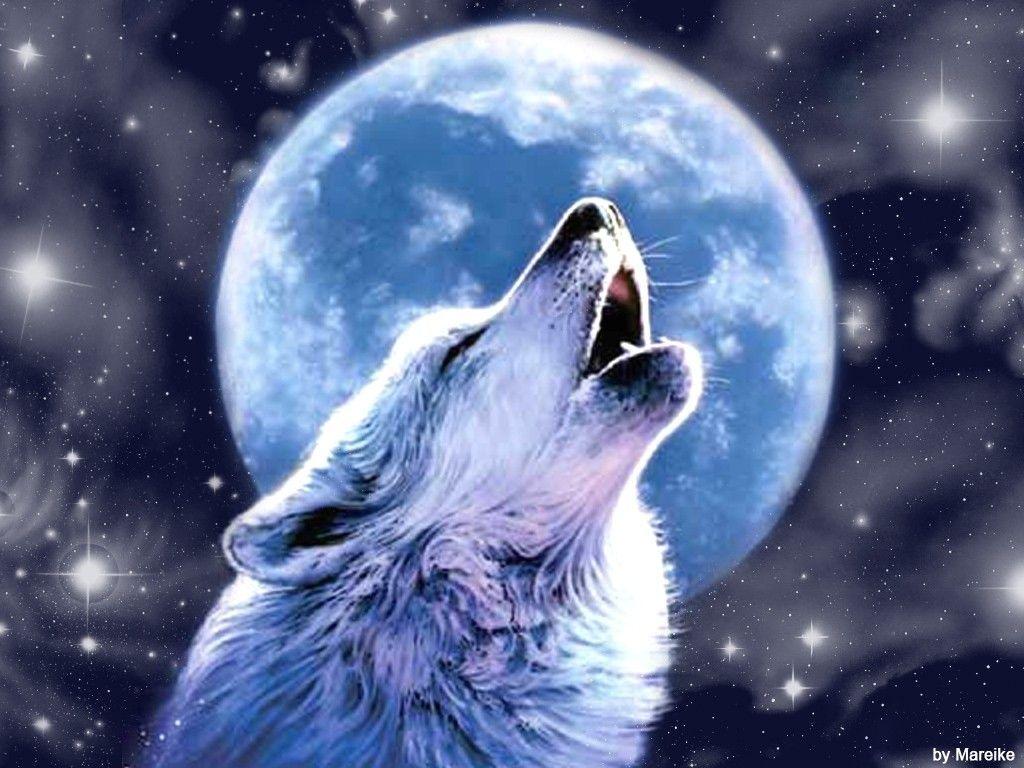 Wolf Howling Wallpapers Wallpaper Cave