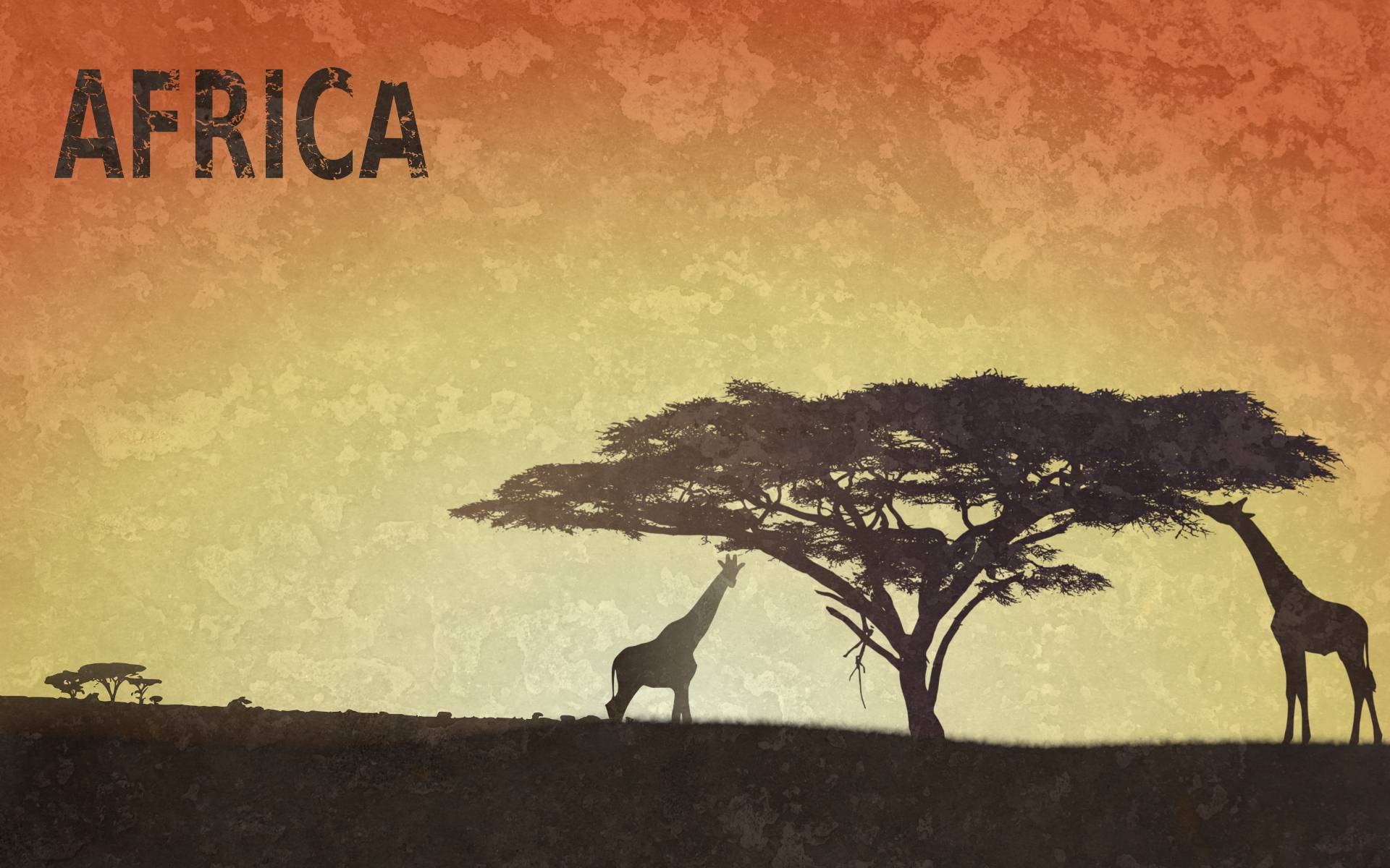 Africa Wallpapers Wallpaper Cave