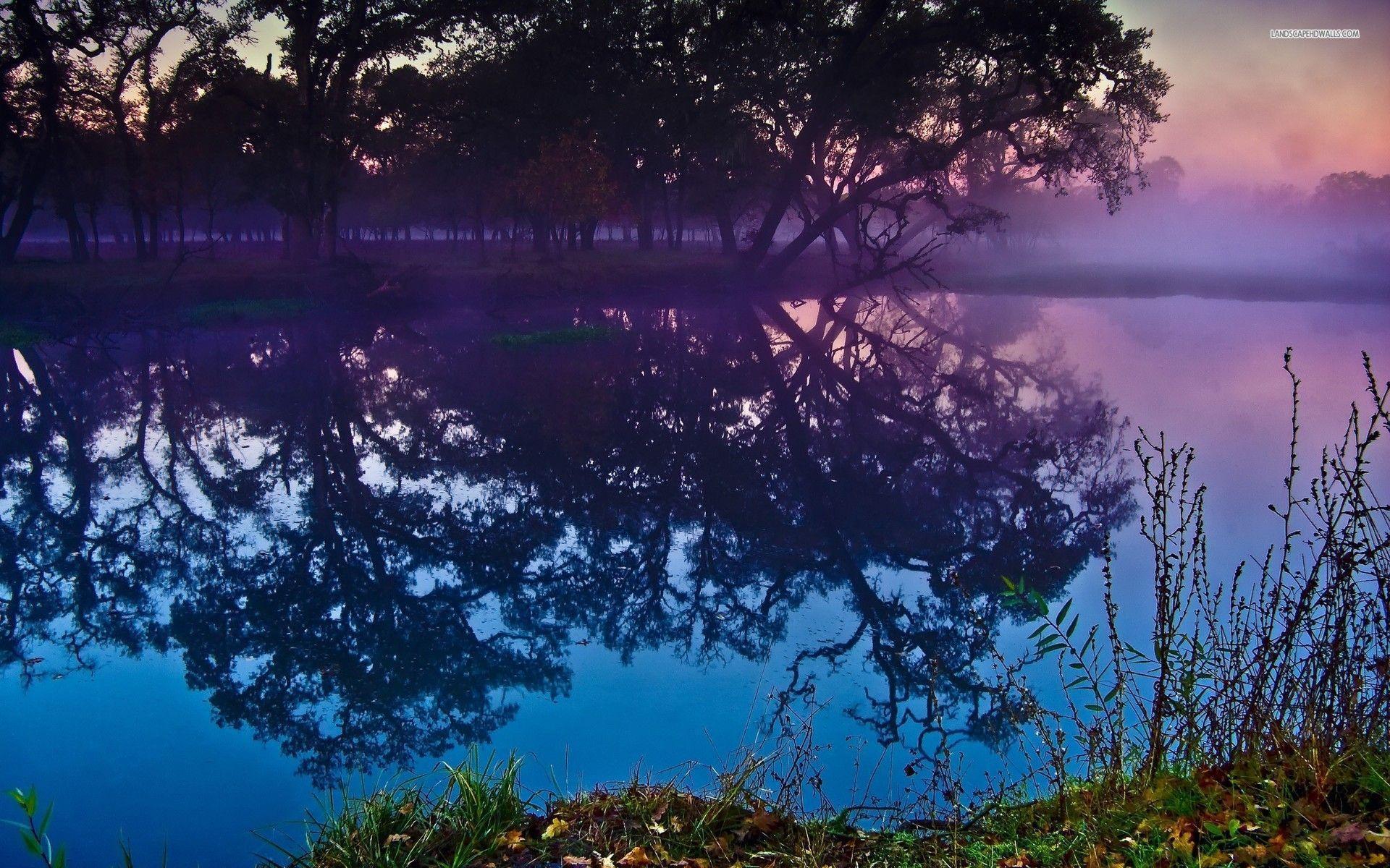 Pond Wallpapers Wallpaper Cave