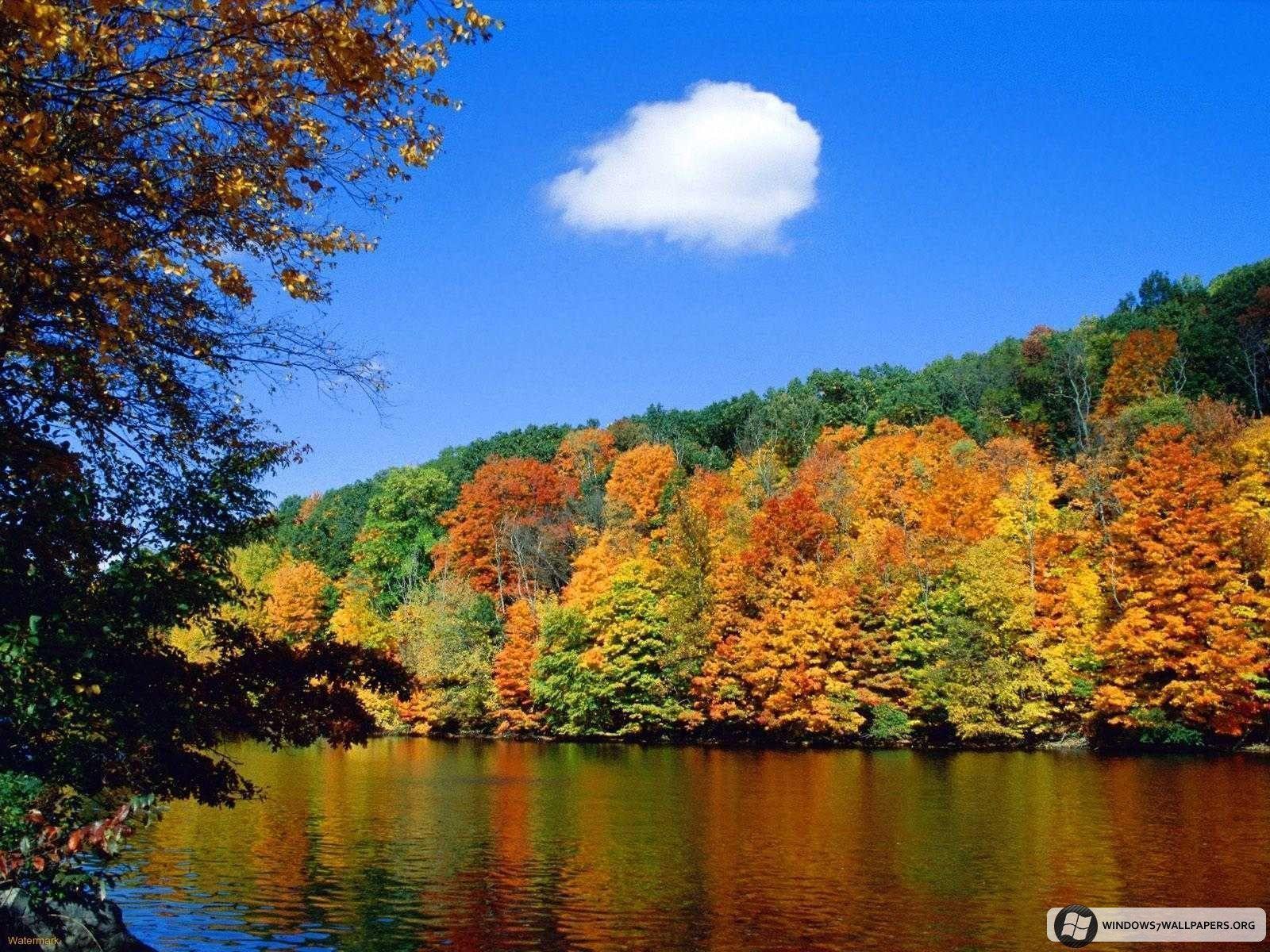 Seasonal Wallpapers Wallpaper Cave