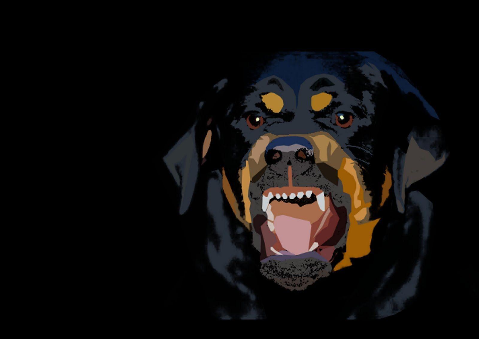 Rottweiler Wallpapers Wallpaper Cave