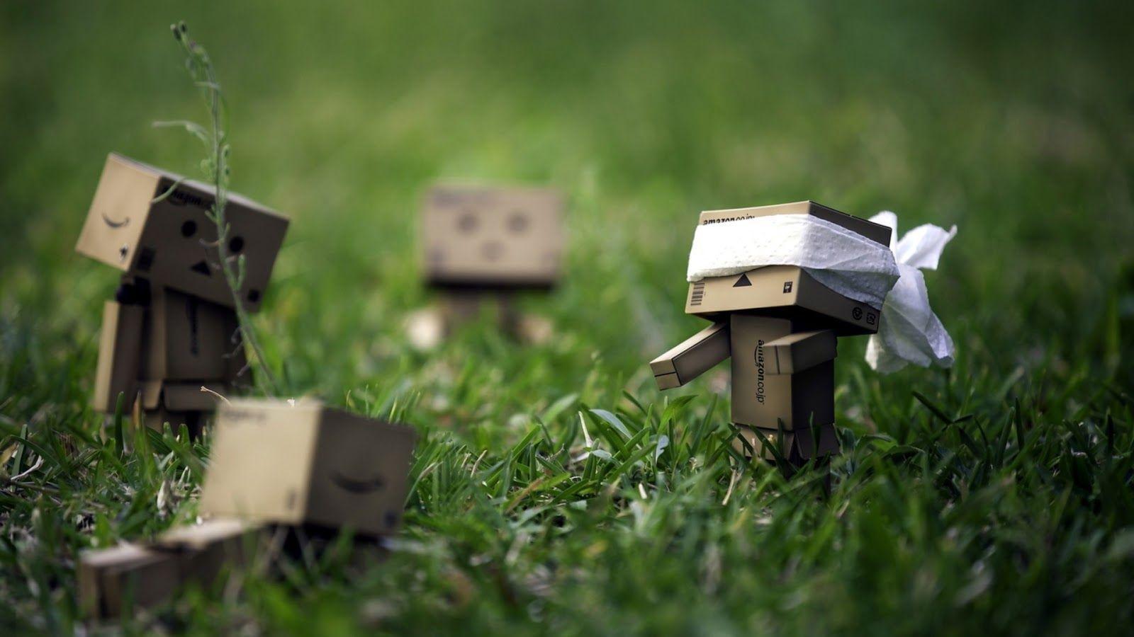Danbo Wallpapers Wallpaper Cave