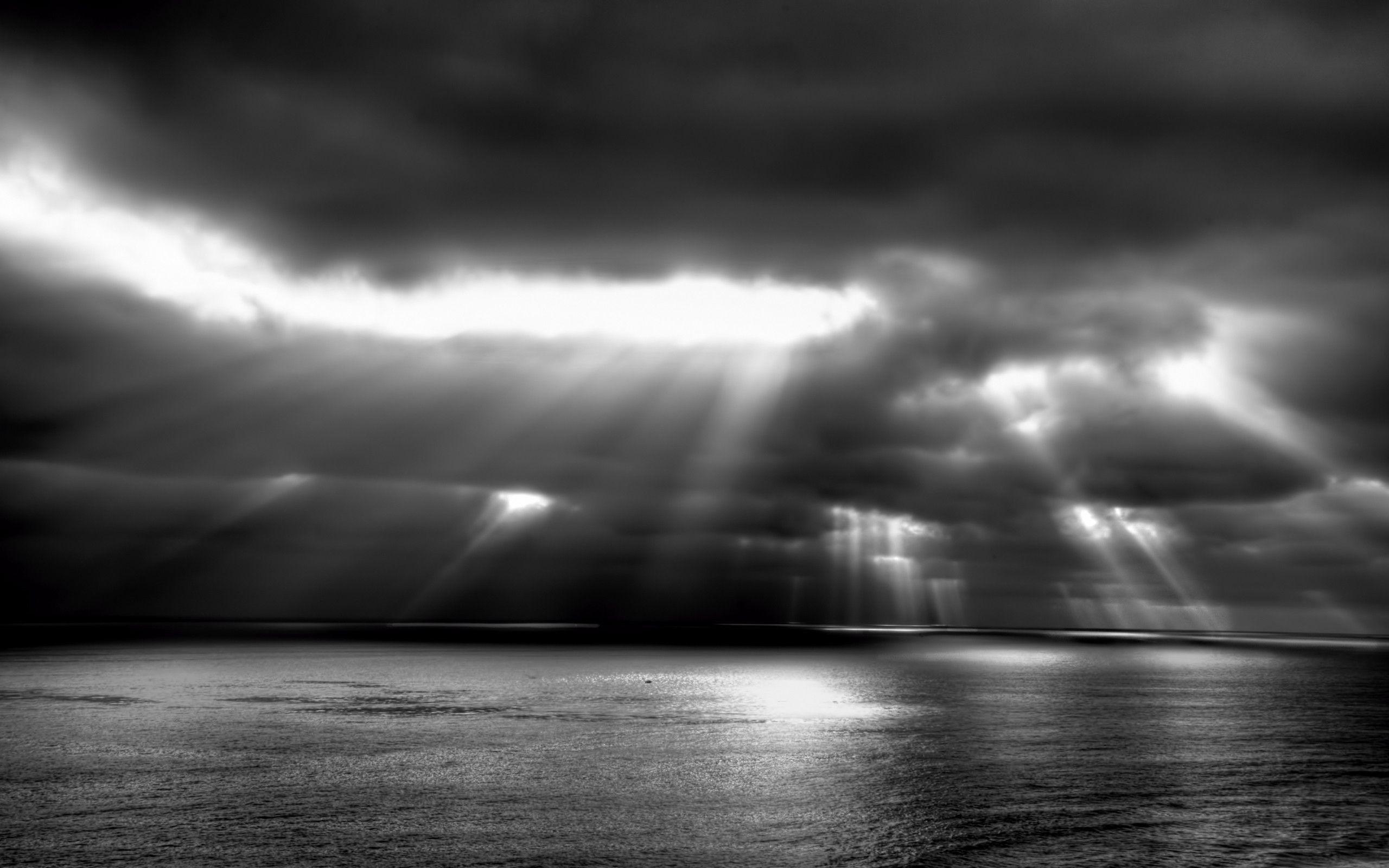 Black And White Nature Wallpapers Wallpaper Cave