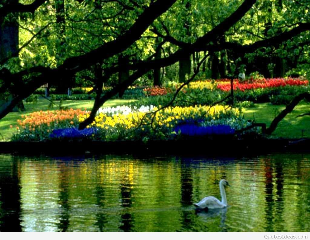 Free Desktop Wallpapers Spring Scenes Wallpaper Cave