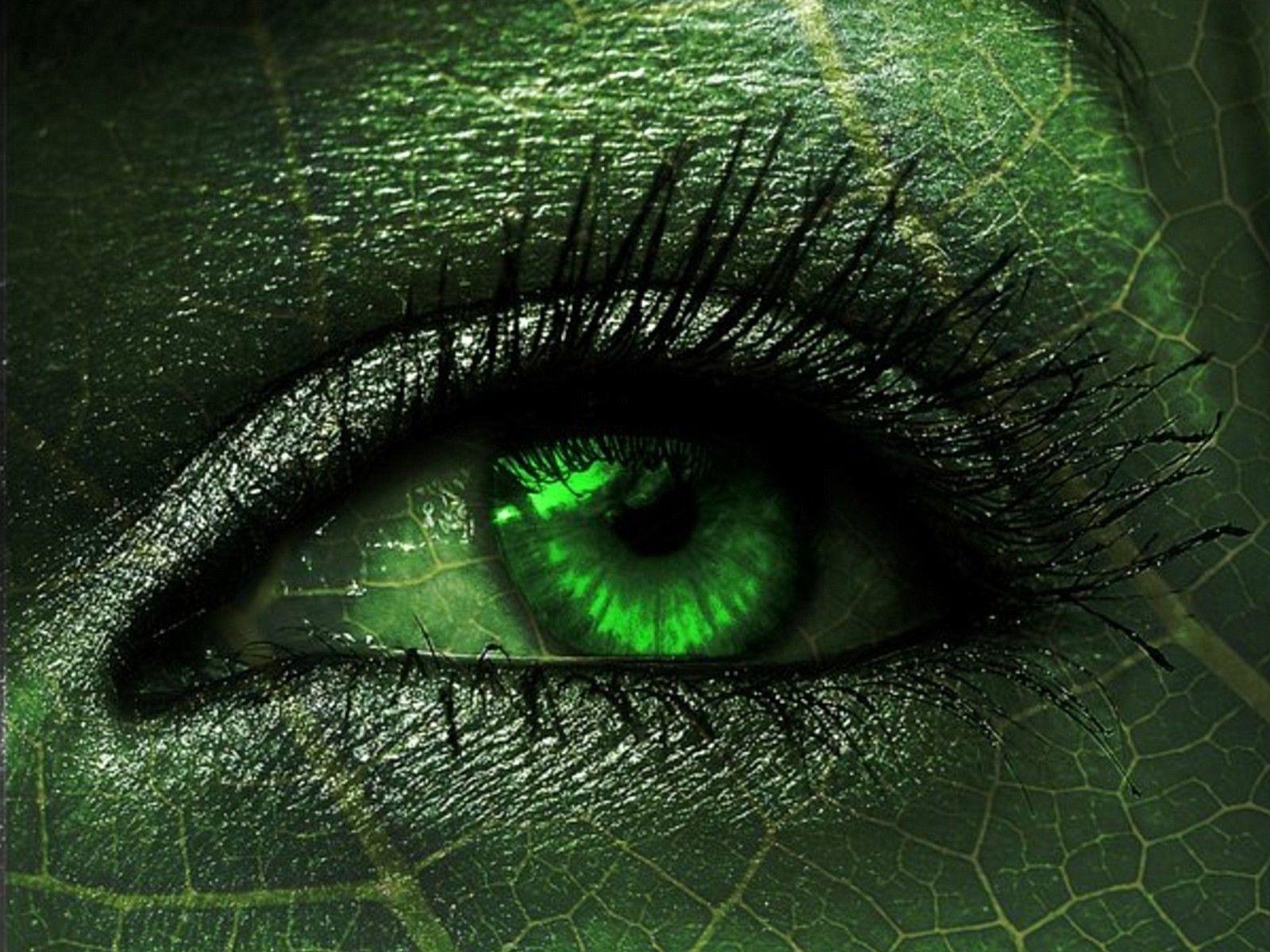 Green Eyes Wallpapers Wallpaper Cave