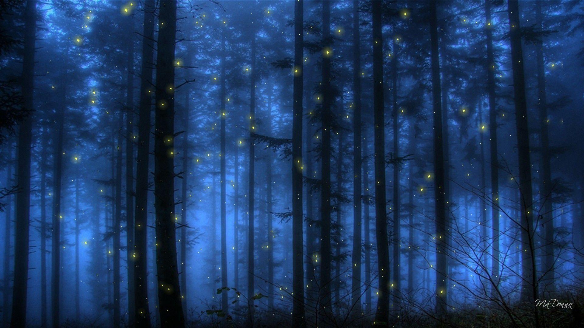 Fireflies Wallpapers Wallpaper Cave