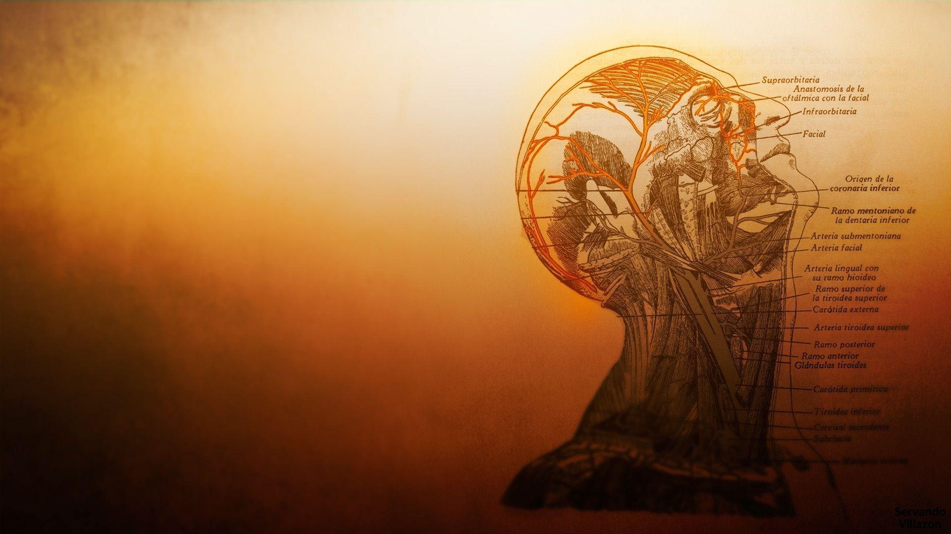 Medical Desktop Backgrounds Wallpaper Cave