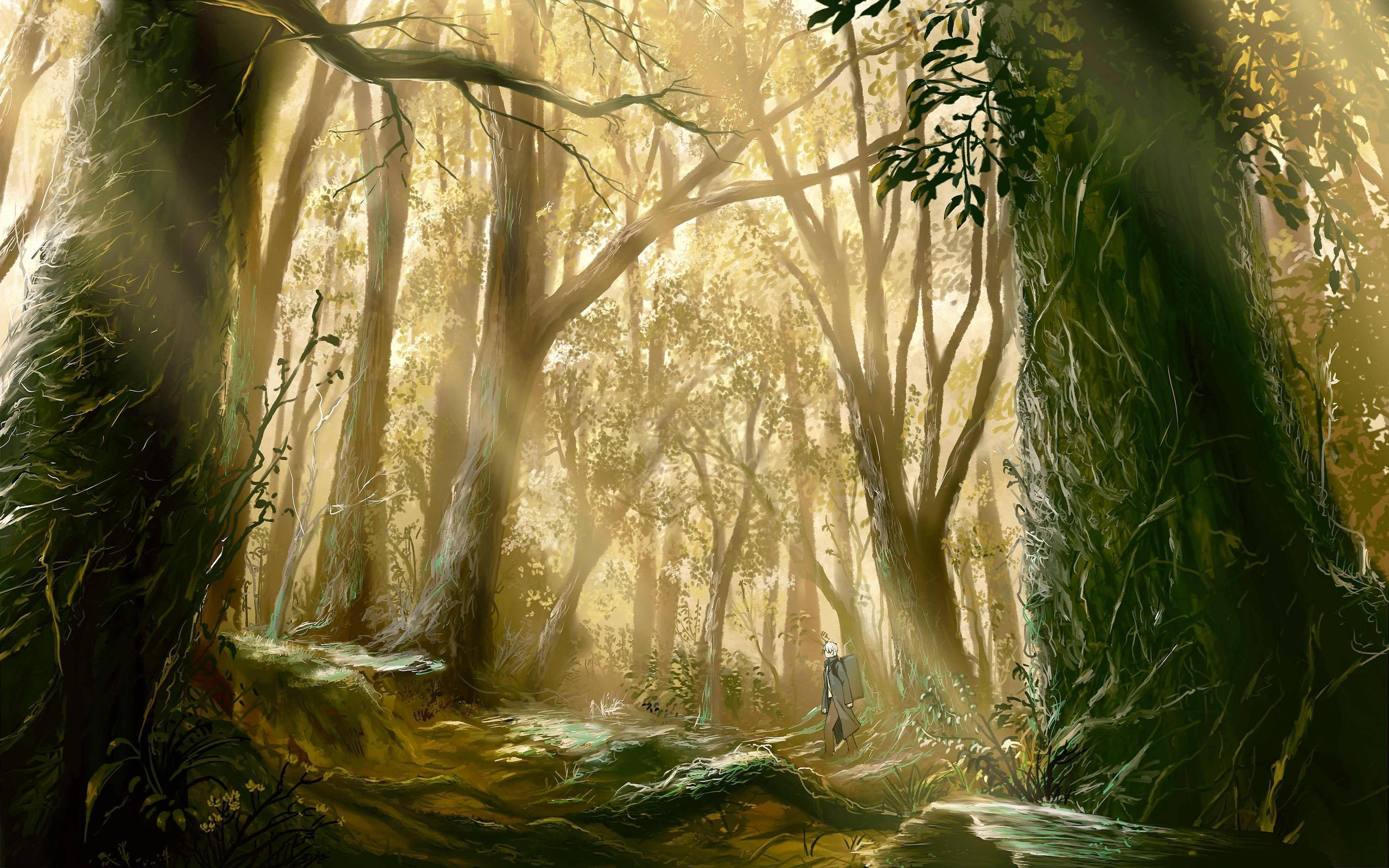 Mushishi Wallpapers Wallpaper Cave
