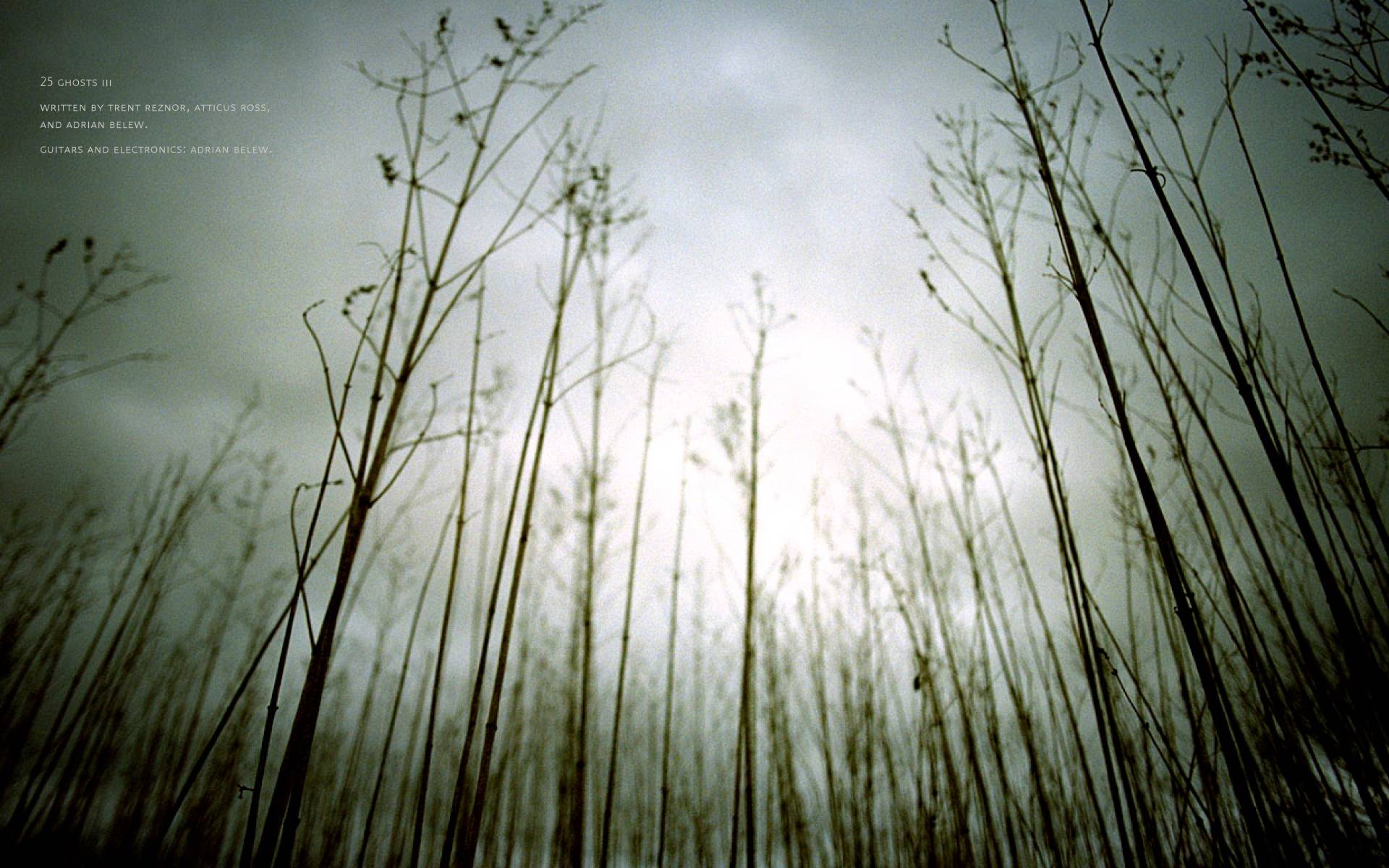 Nin Wallpapers Wallpaper Cave